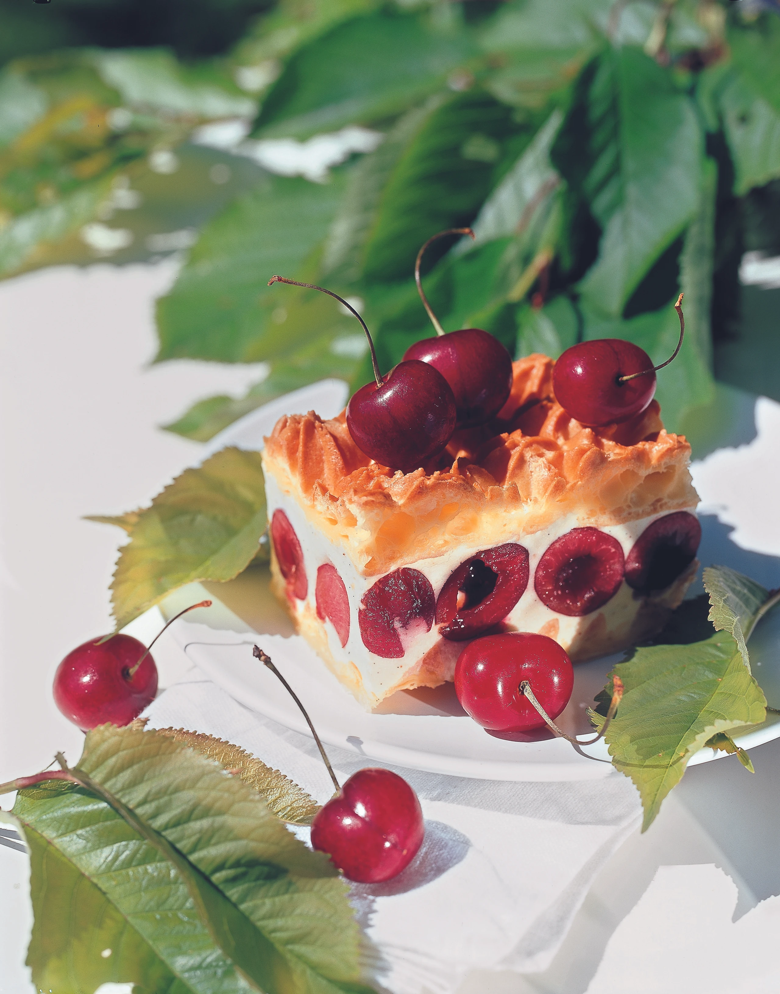 Kirschen-Schnitten