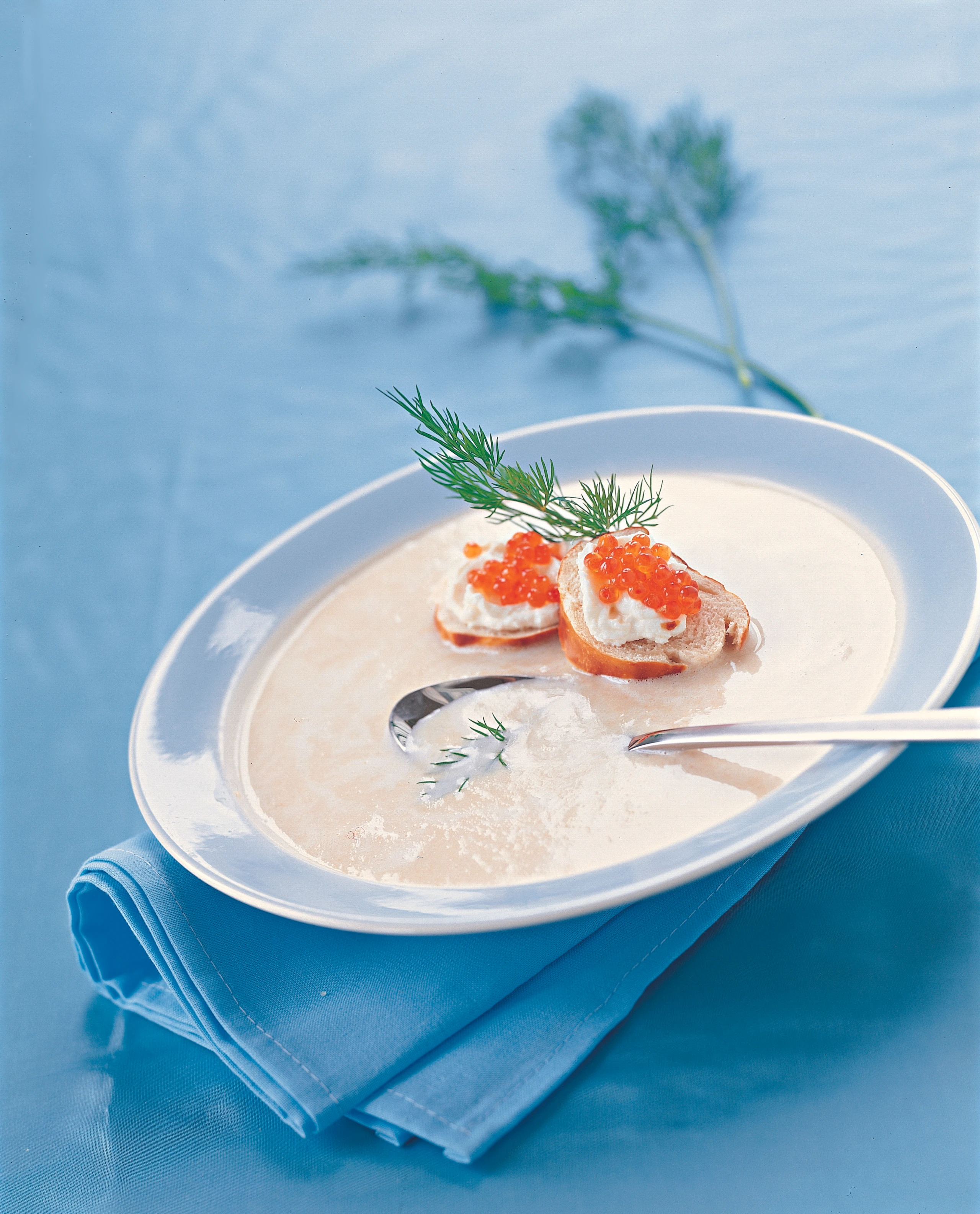 Forellen-Einmachsuppe