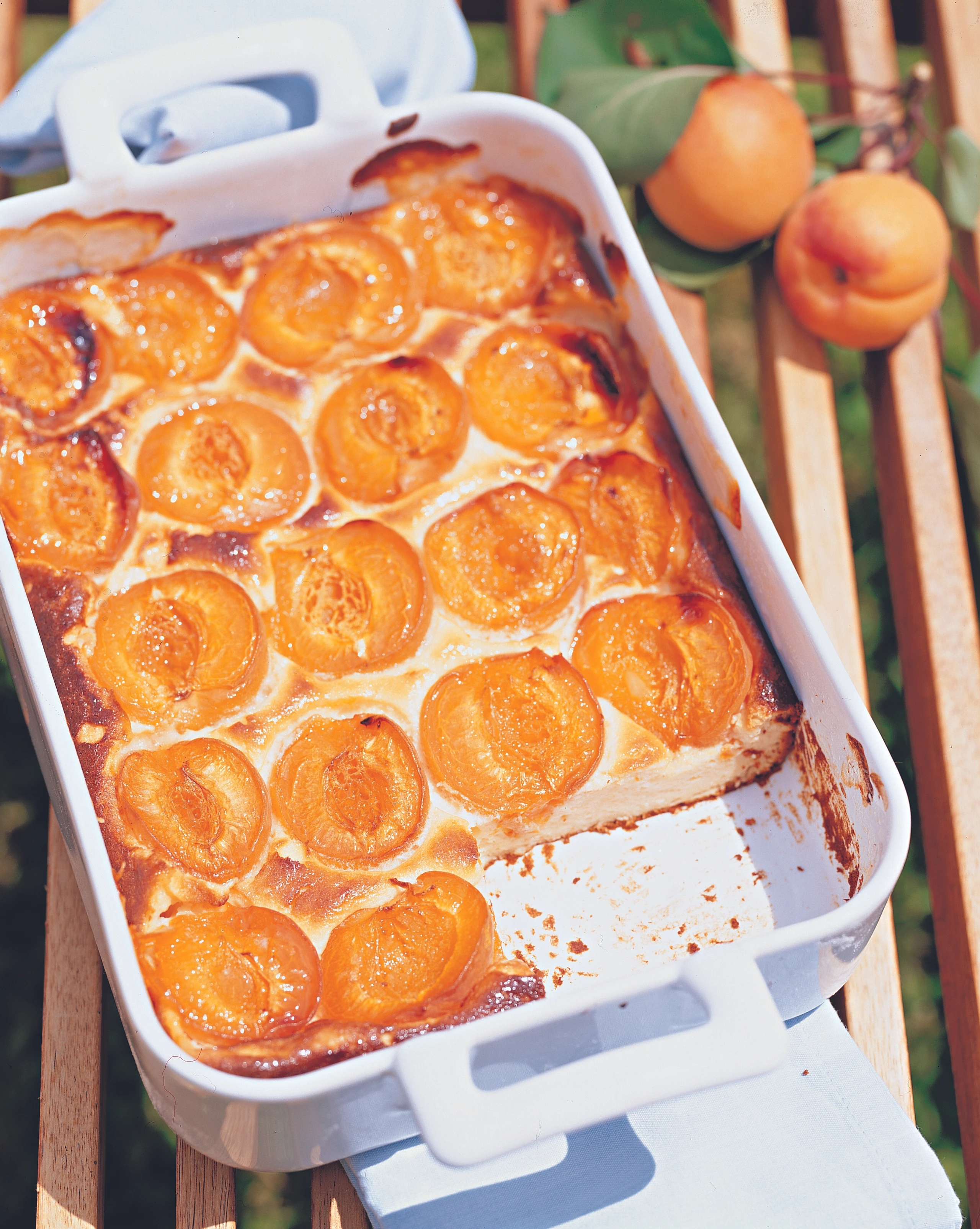 Topfenauflauf mit Marillen