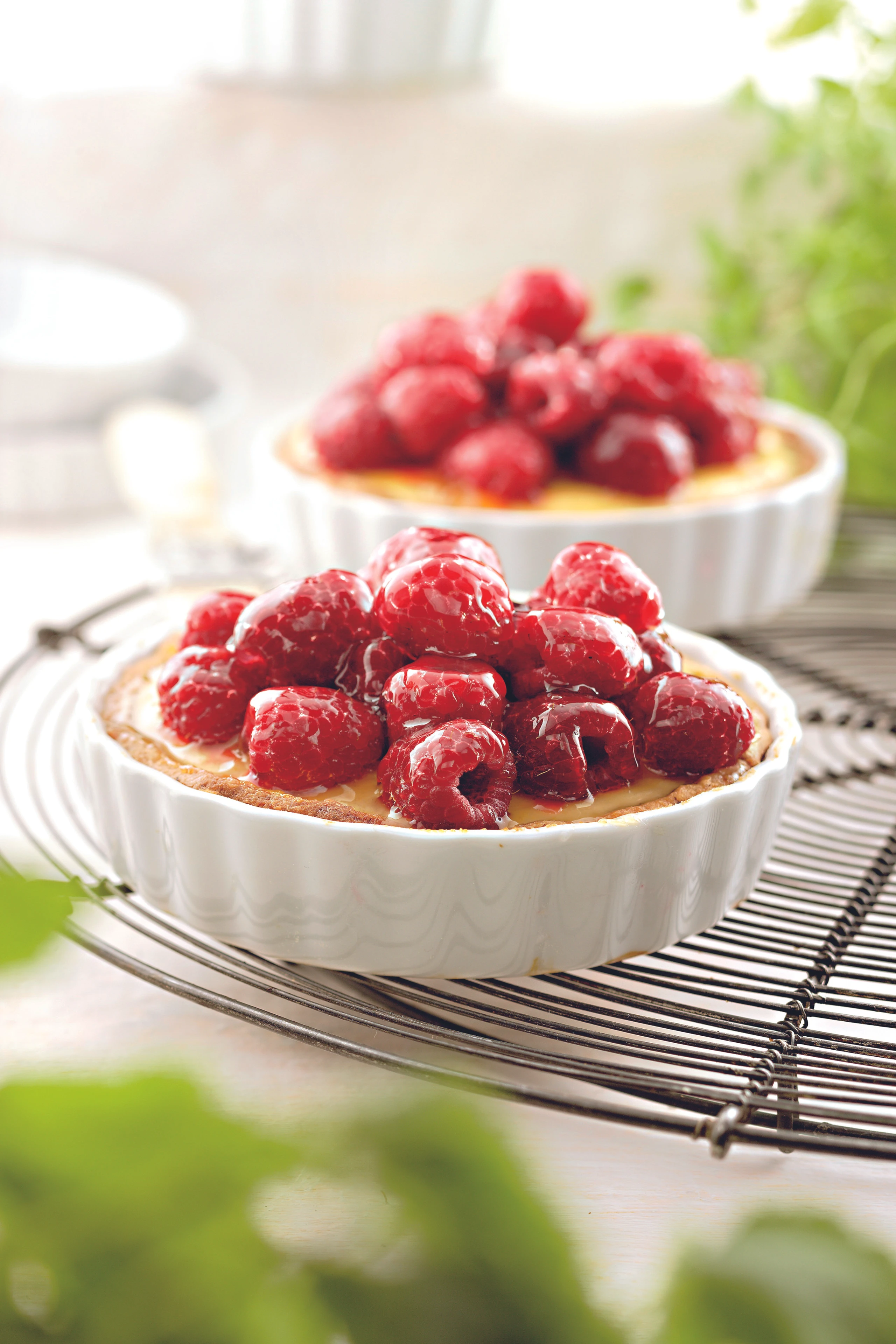 Himbeer-Topfen-Törtchen