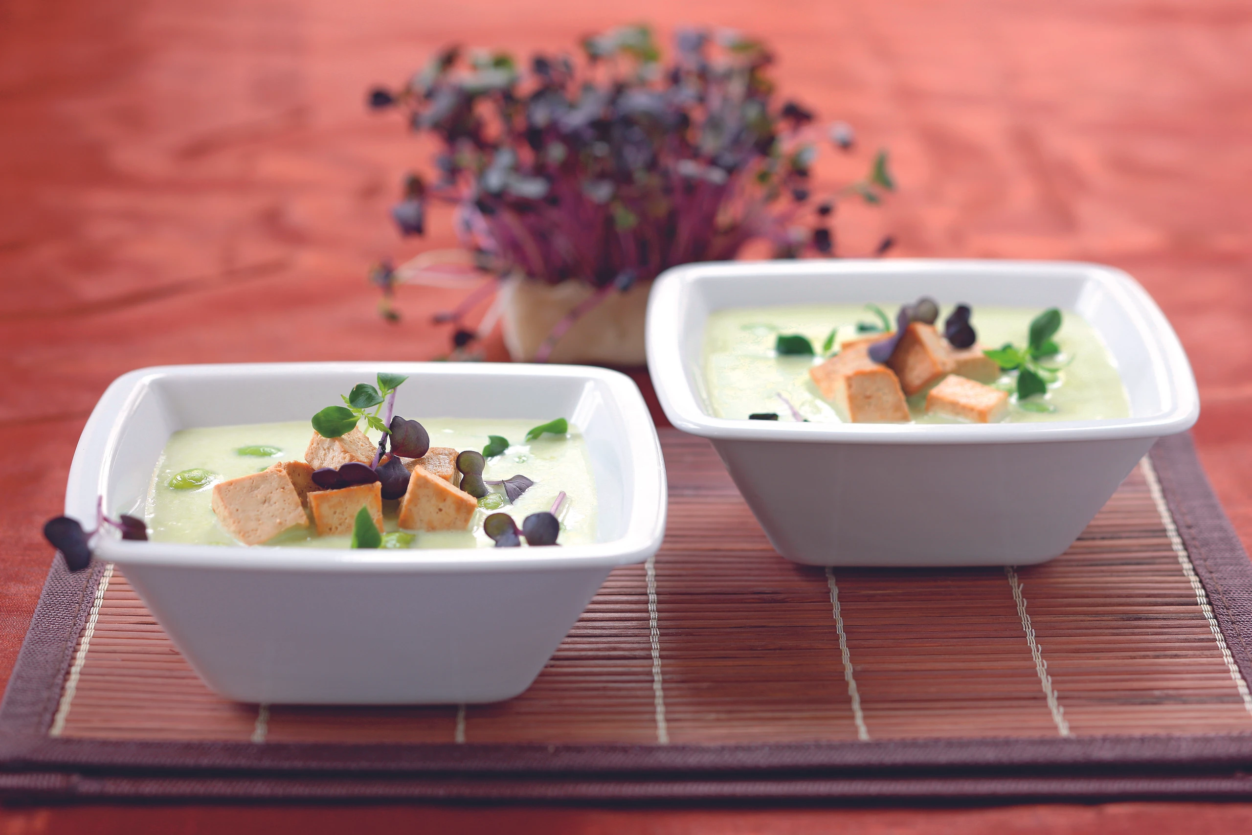 Sojabohnensuppe mit Tofu