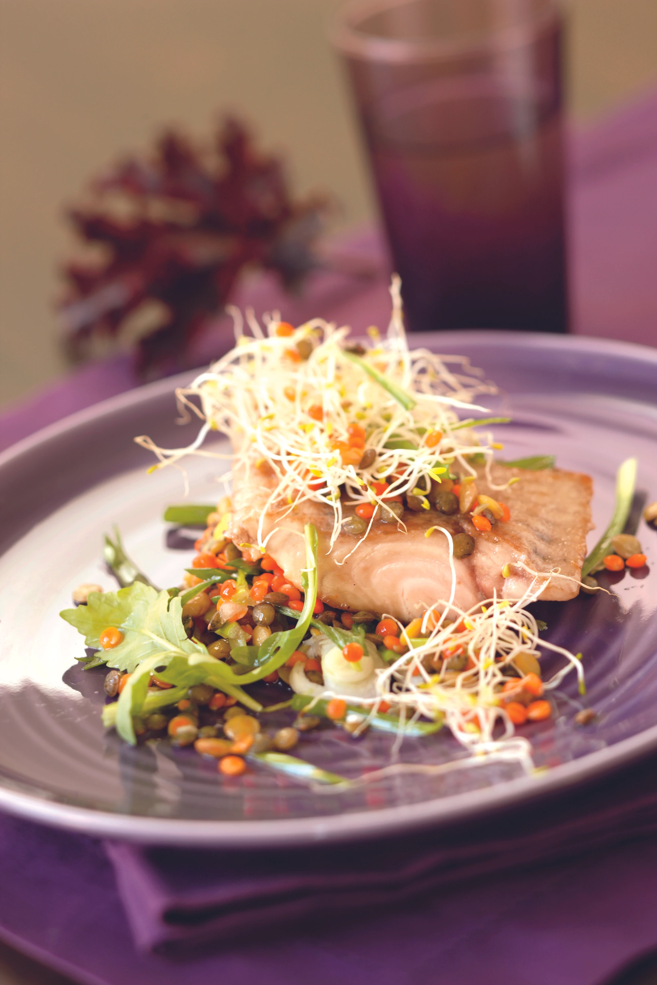 Marinierter Waller auf Linsensalat