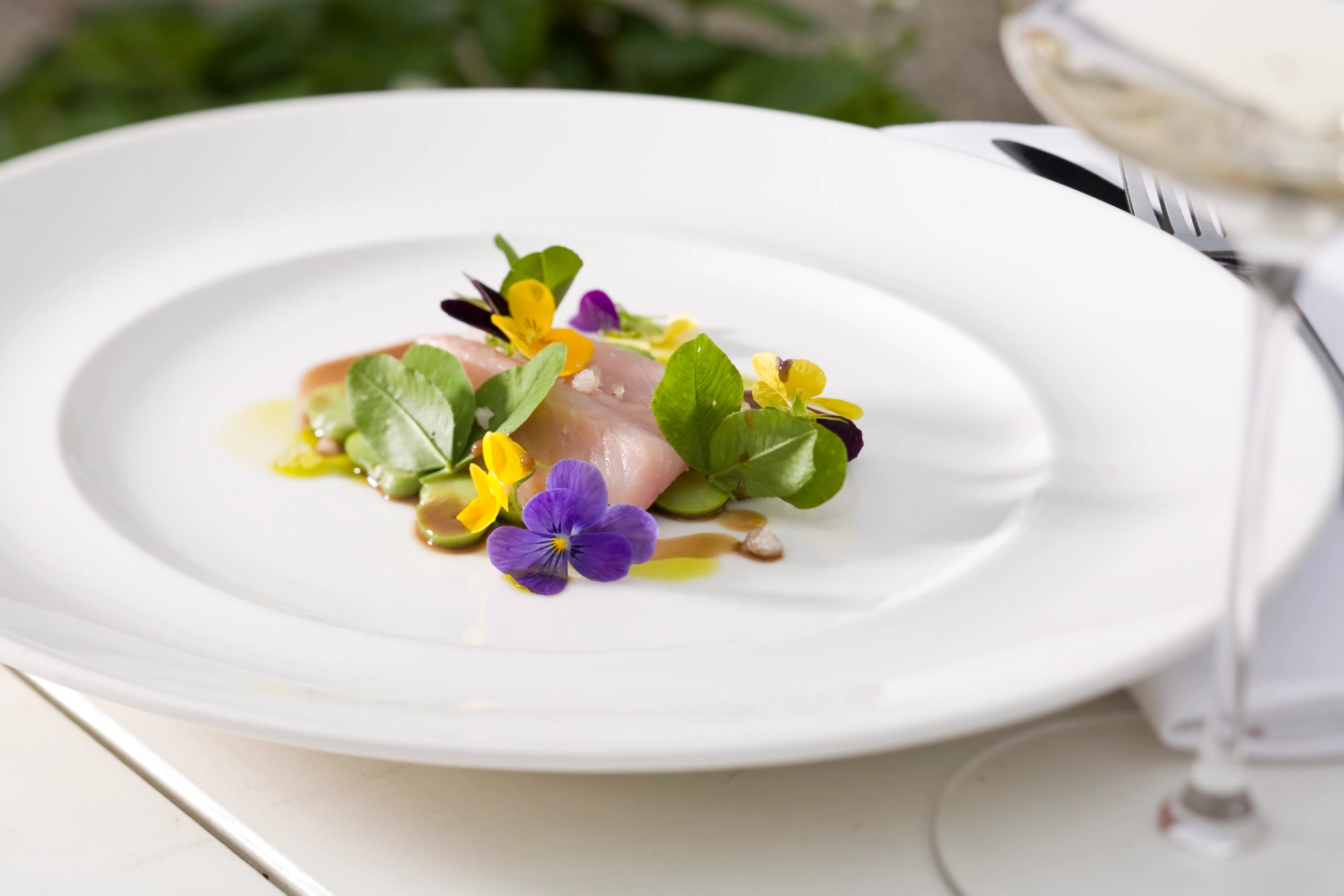 Marinierter Huchen mit Saubohnen und Klee