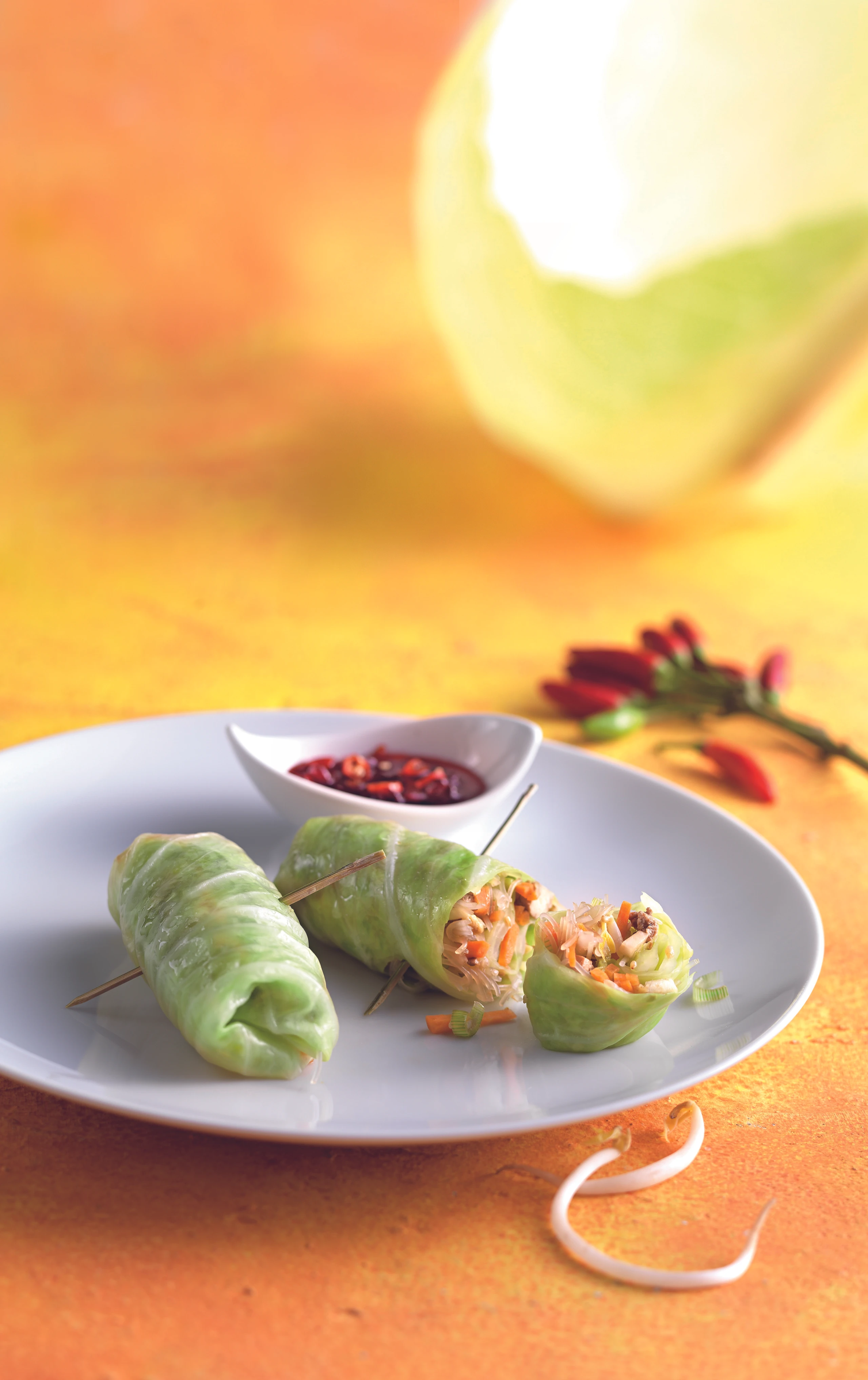 Krautrollen mit Tofu-Gemüse-Sprossen-Füllung