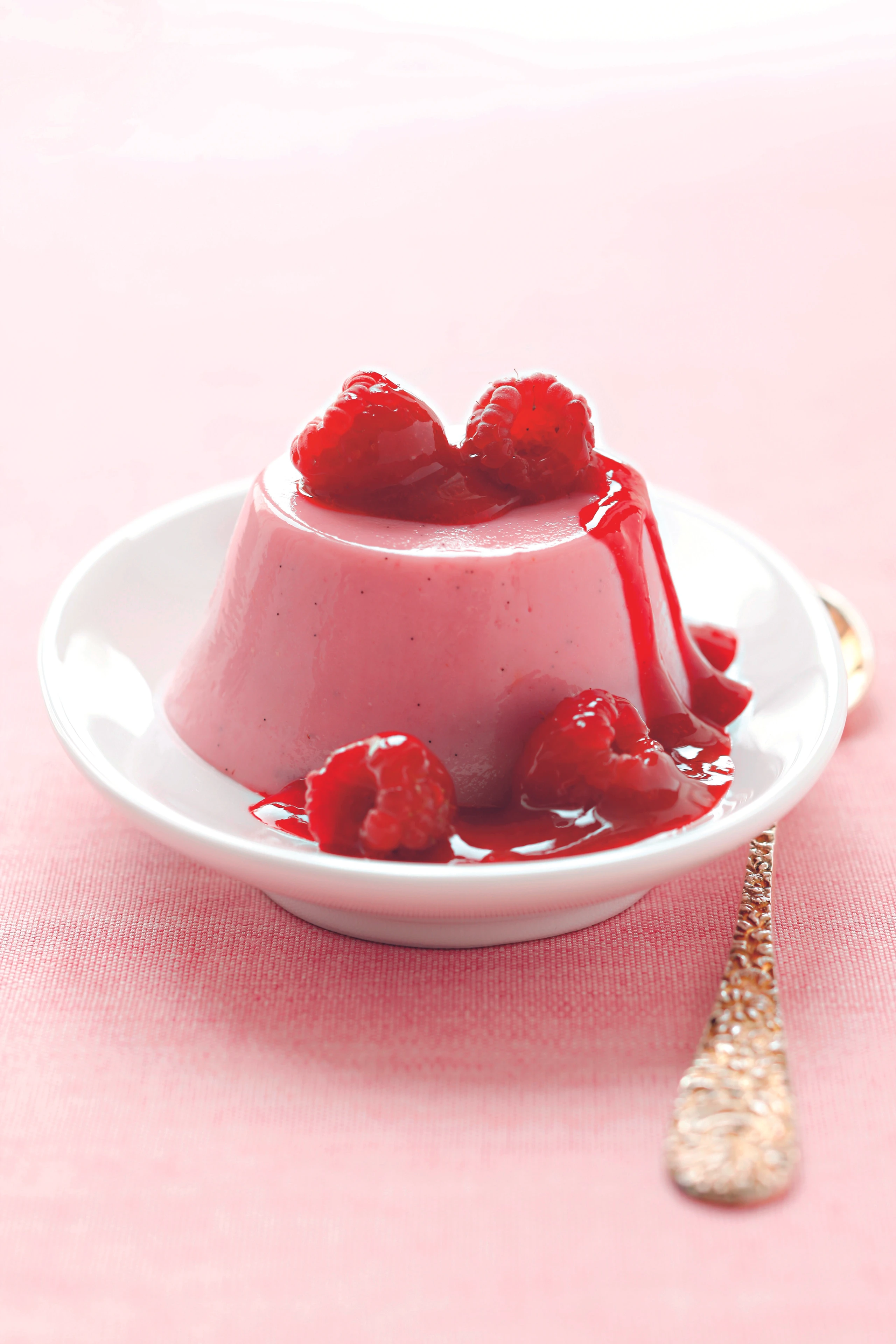 Himbeer-Joghurtpudding