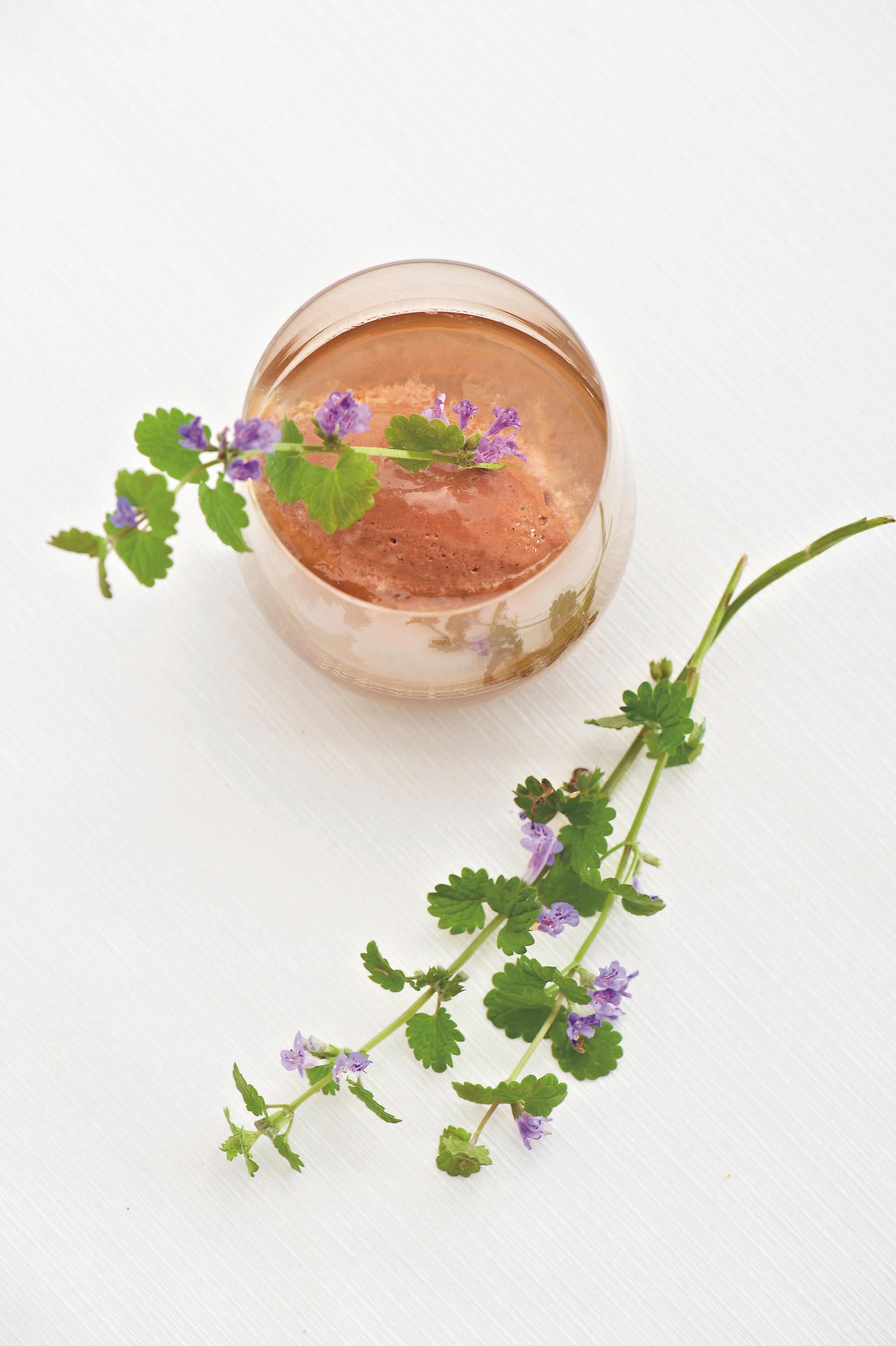 Gundelreben-Eistee mit Schokomousse