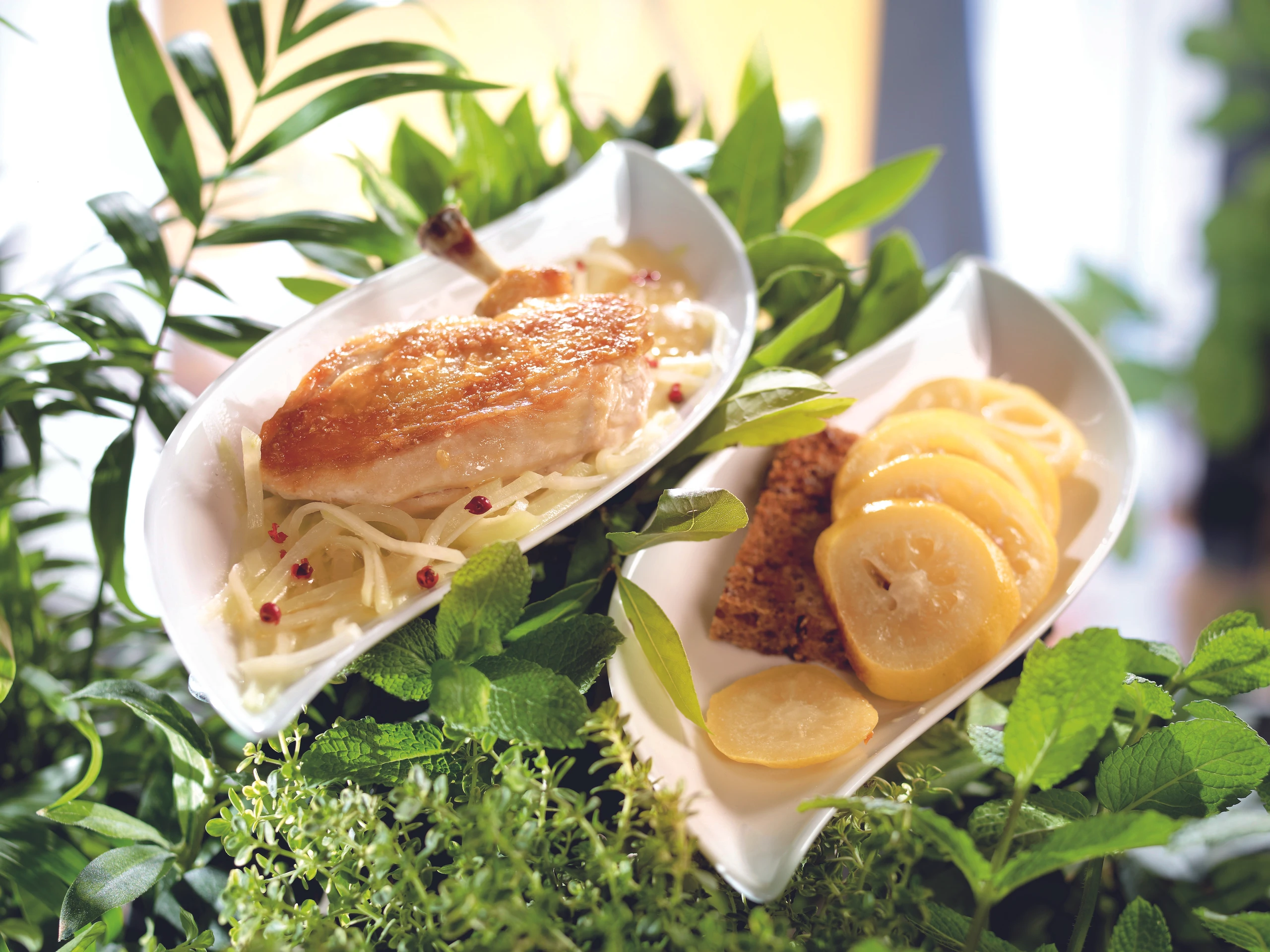 Hühnerbrustfilet mit geschmorten Zitronen und Kohlrabi