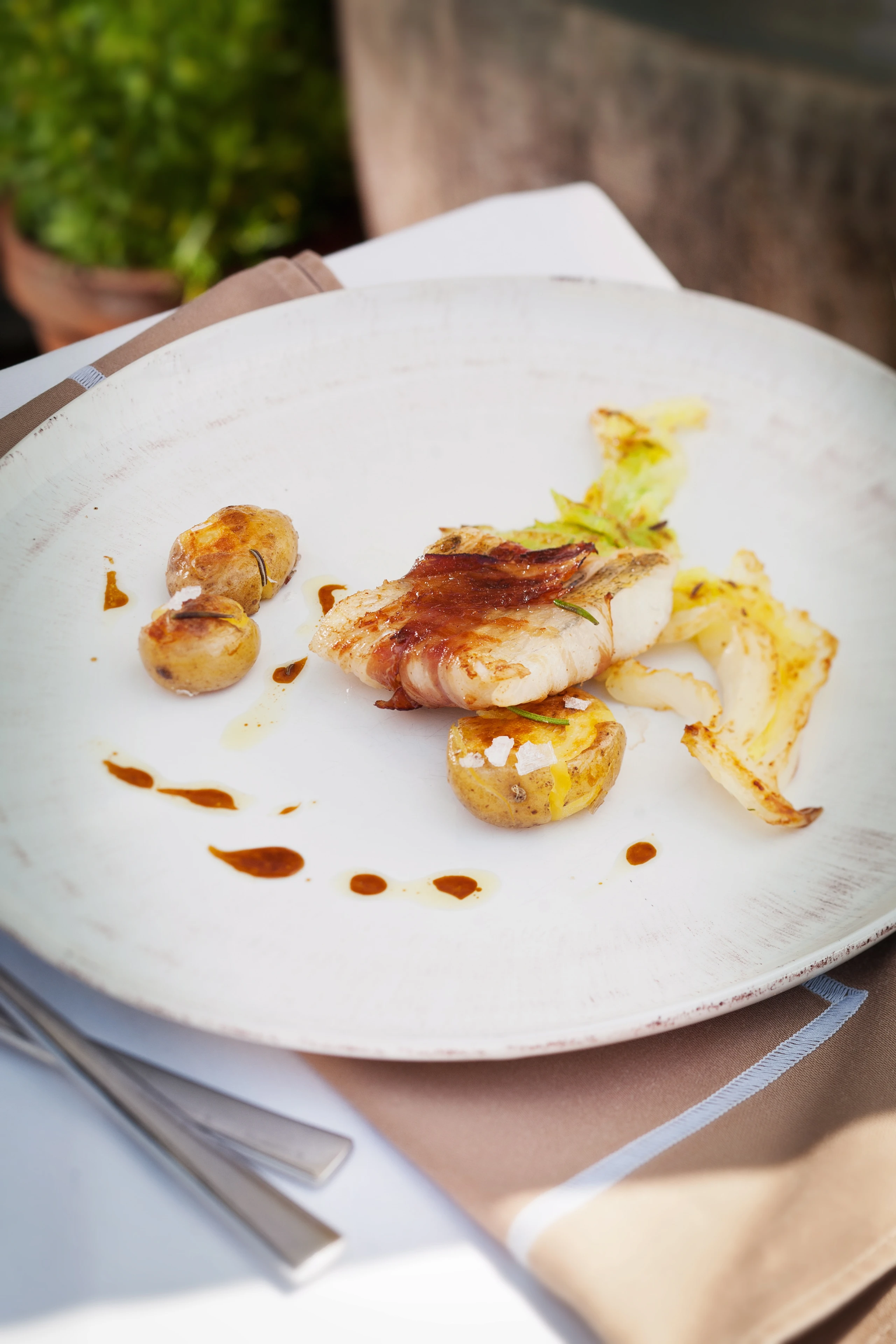 Zanderfilet im Speckmantel mit Kraut