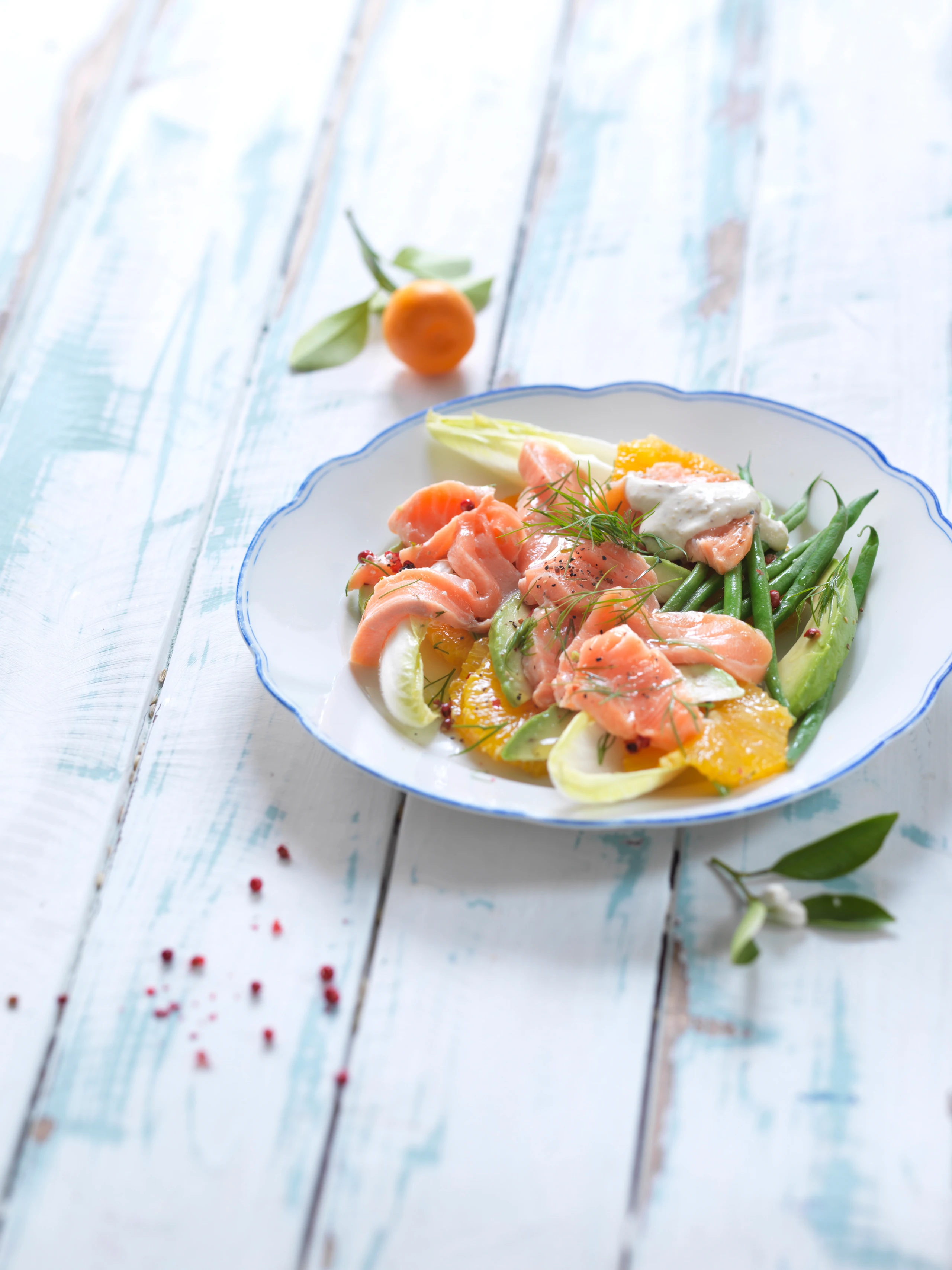 Lachs mit Orangen und Fisolen