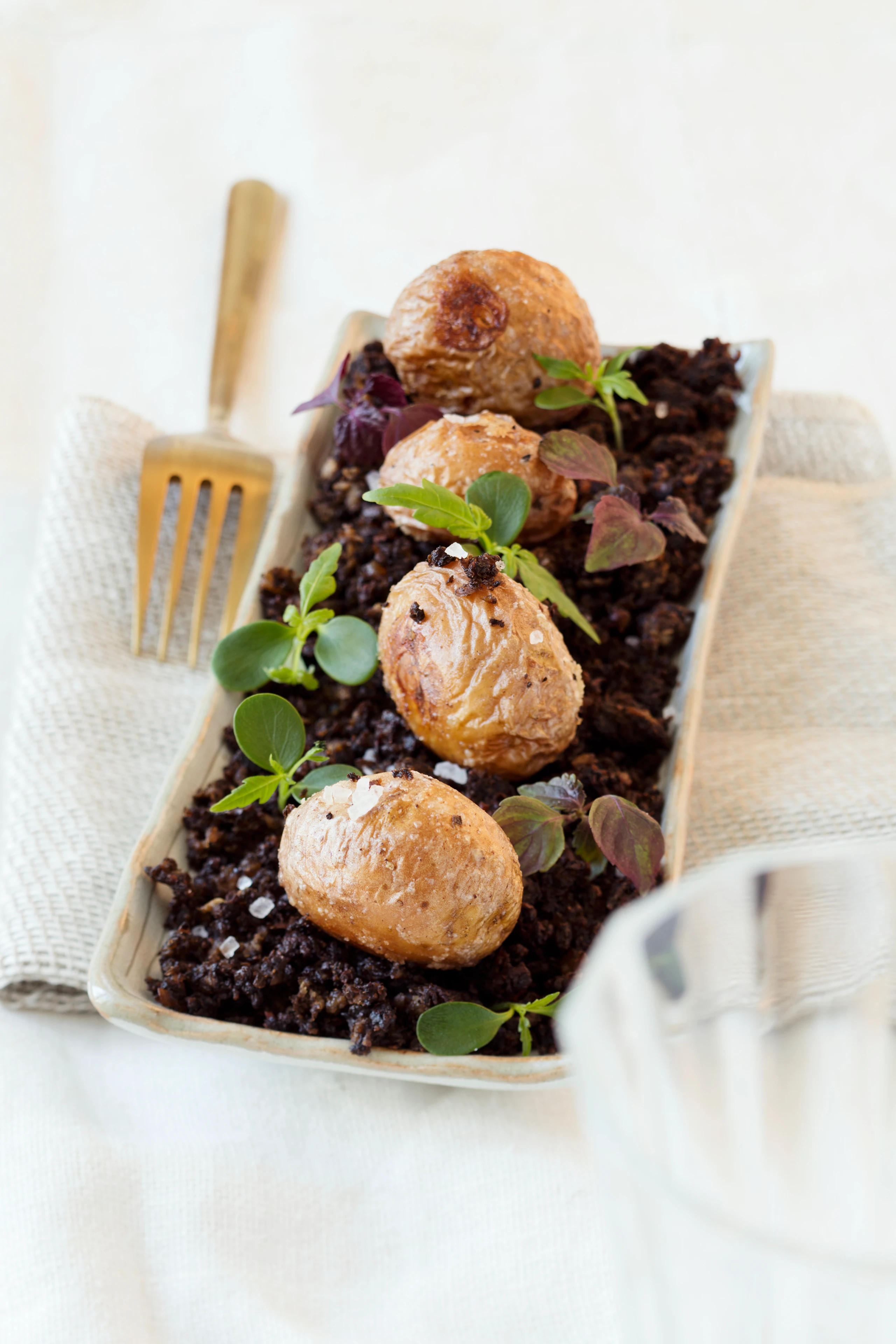 Raucherdäpfel auf Pilz-Erde