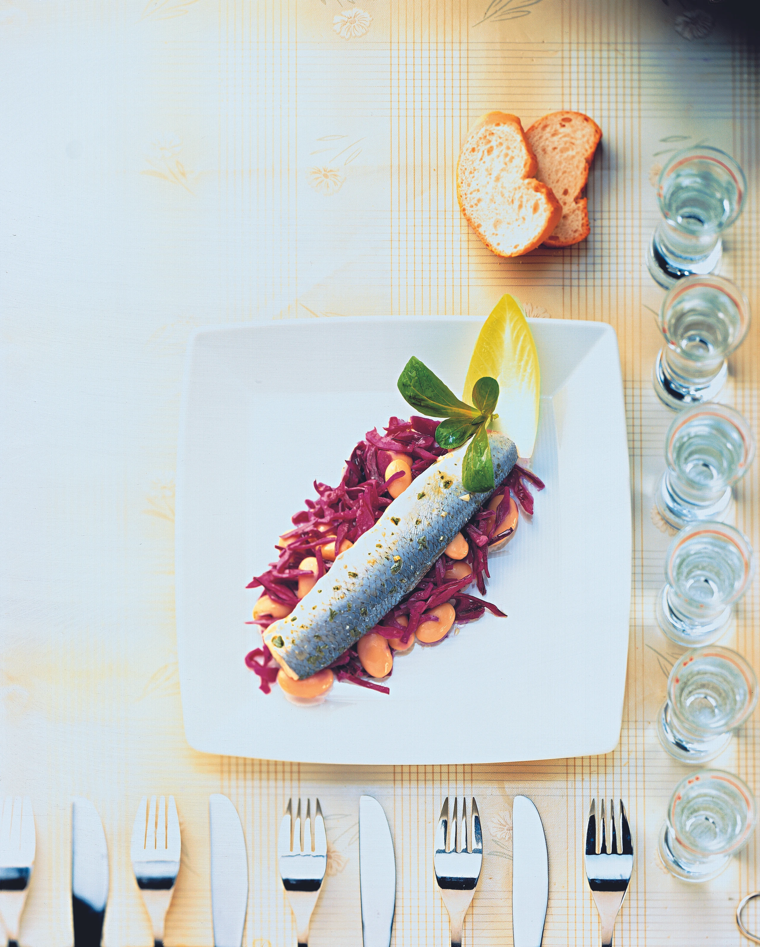 Marinierte Russenfilets auf Rotkraut-Bohnensalat