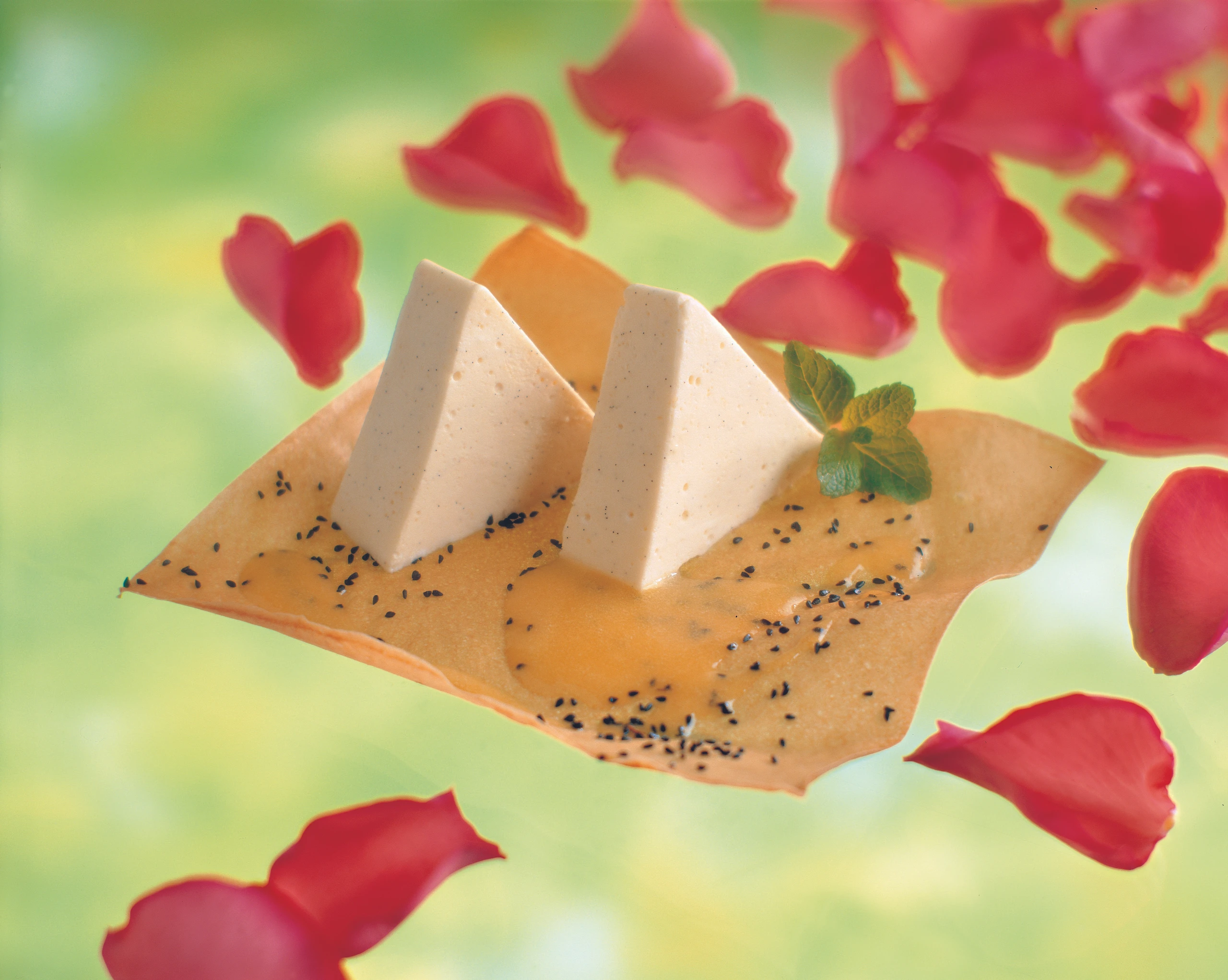 Vanilleterrine mit Pfirsichsauce