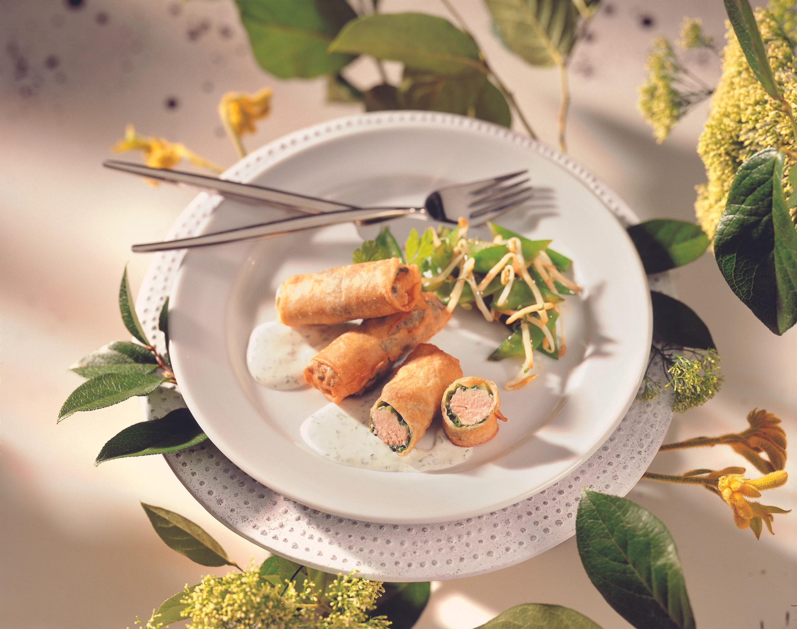 Frühlingsröllchen mit Lachsforelle und Korianderrahm