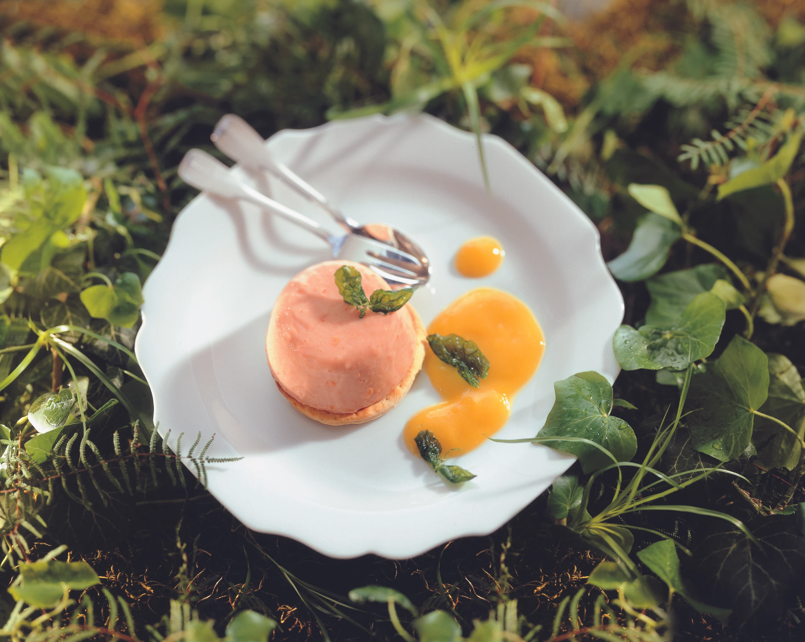 Süßes Paradeis-Apfelmus auf Knusperteig