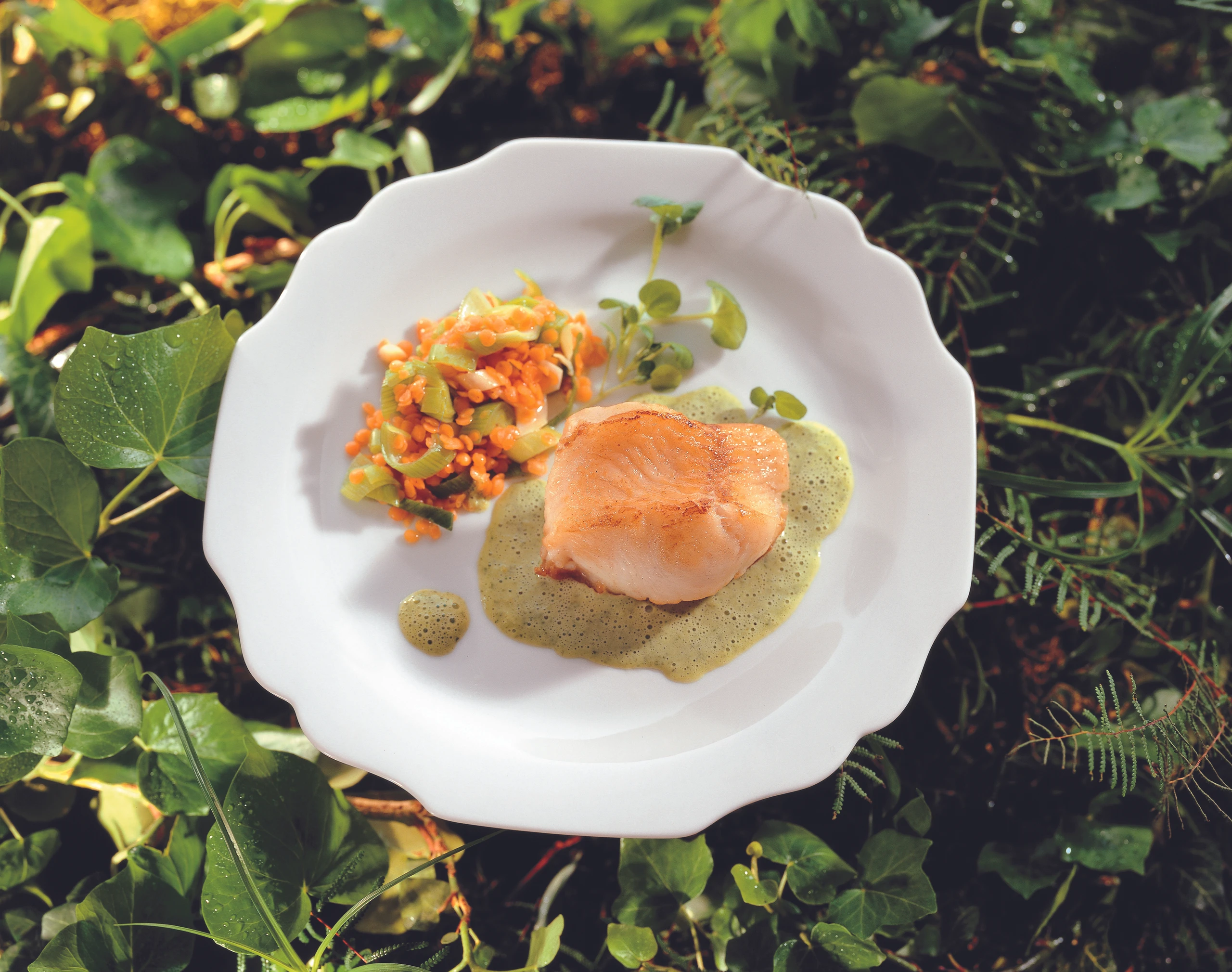 Welsfilet mit Brunnenkresse-Sauce