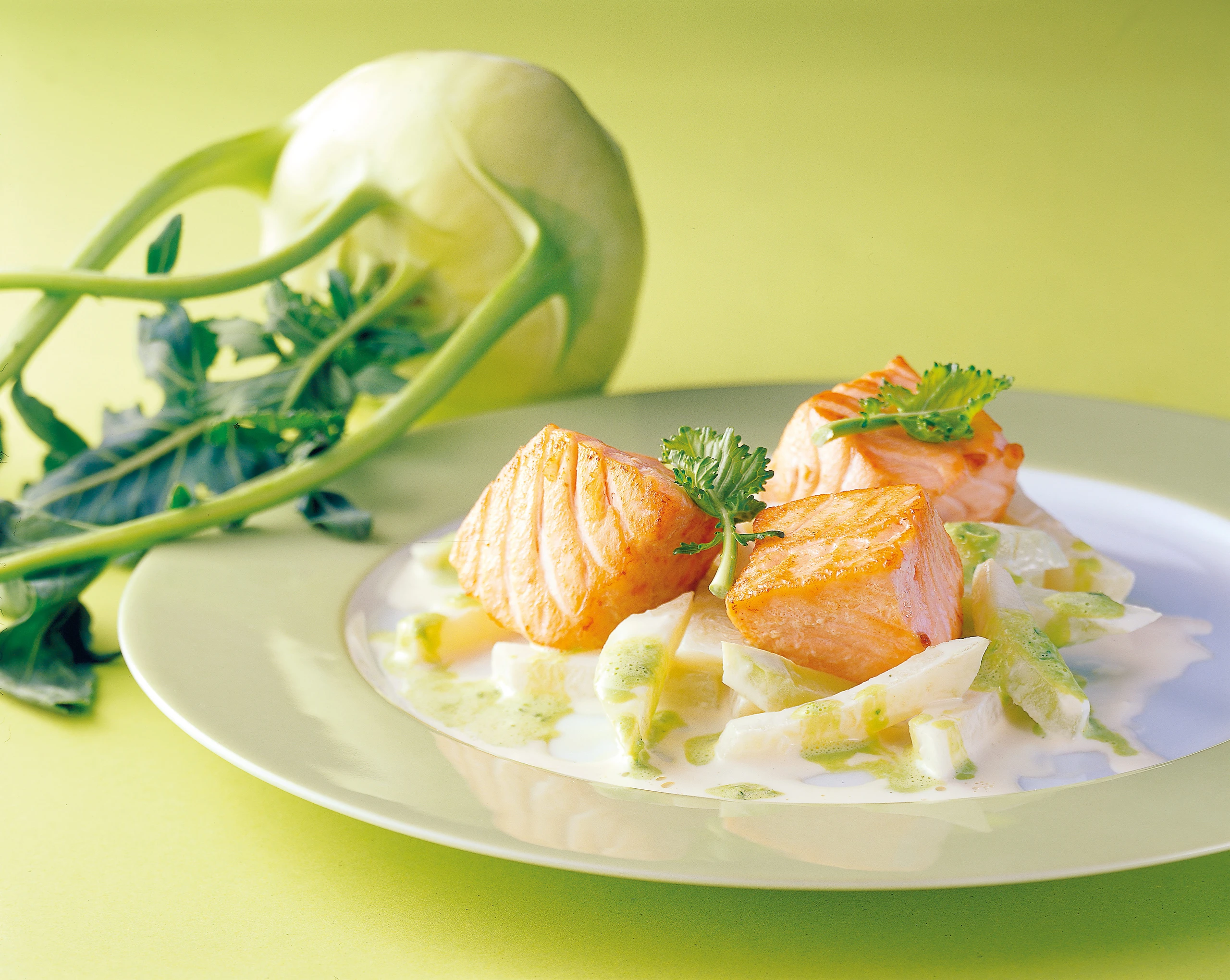 Lachswürfel auf Kohlrabi