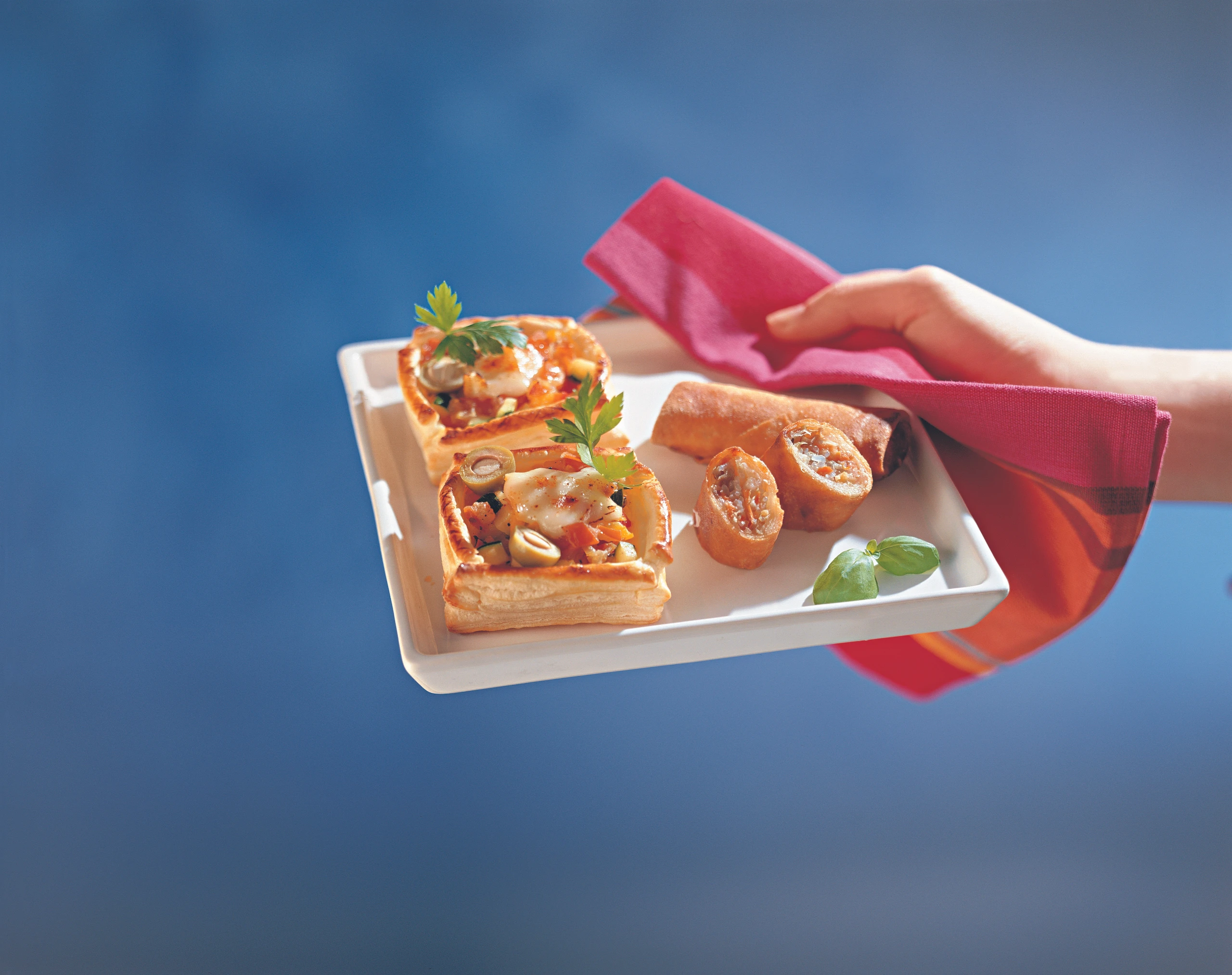 Teigtaschen provençal und Gemüse-Frühlingsröllchen mit Kräuterdip