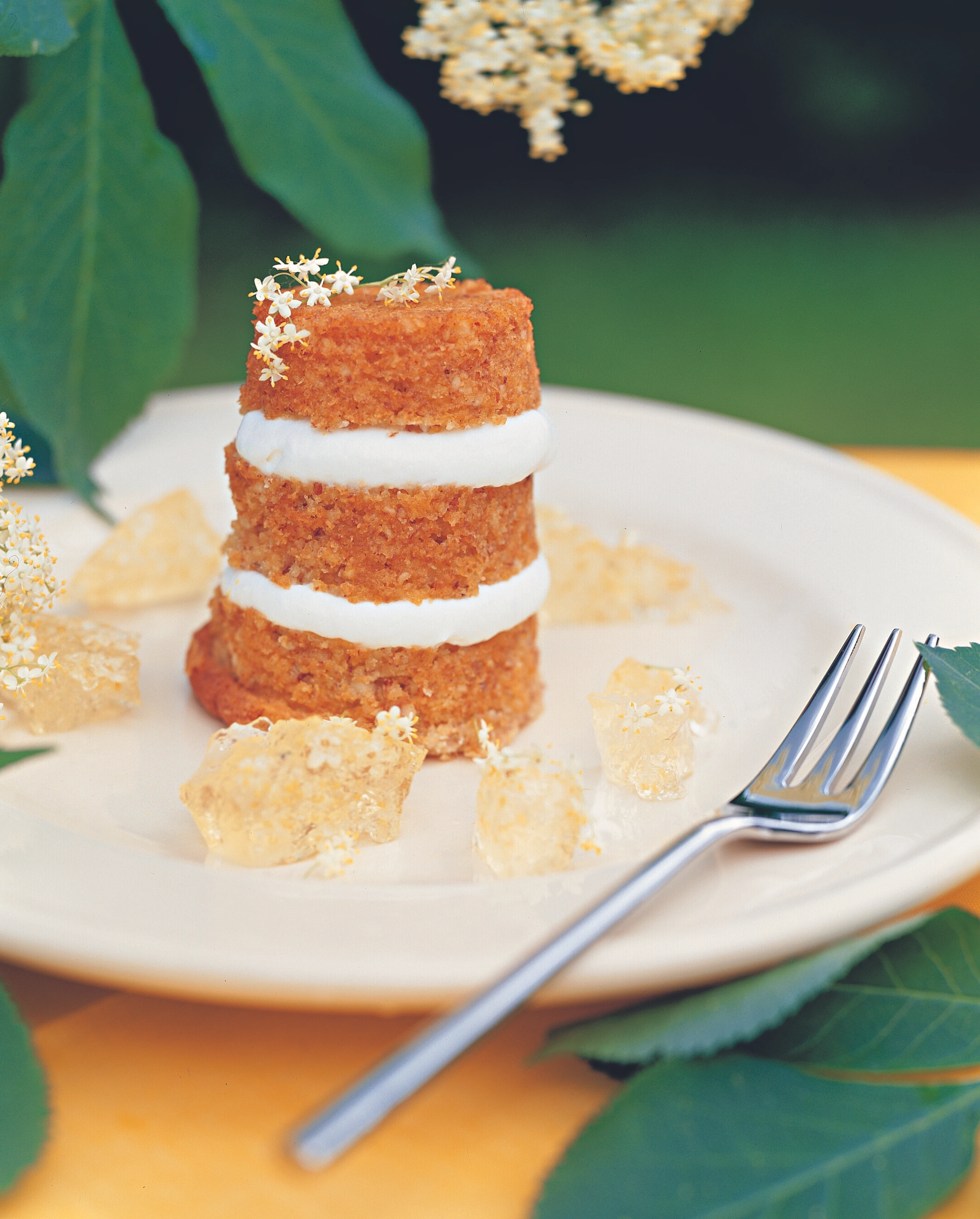 Holunder-Schokokuchen mit Holundergelee