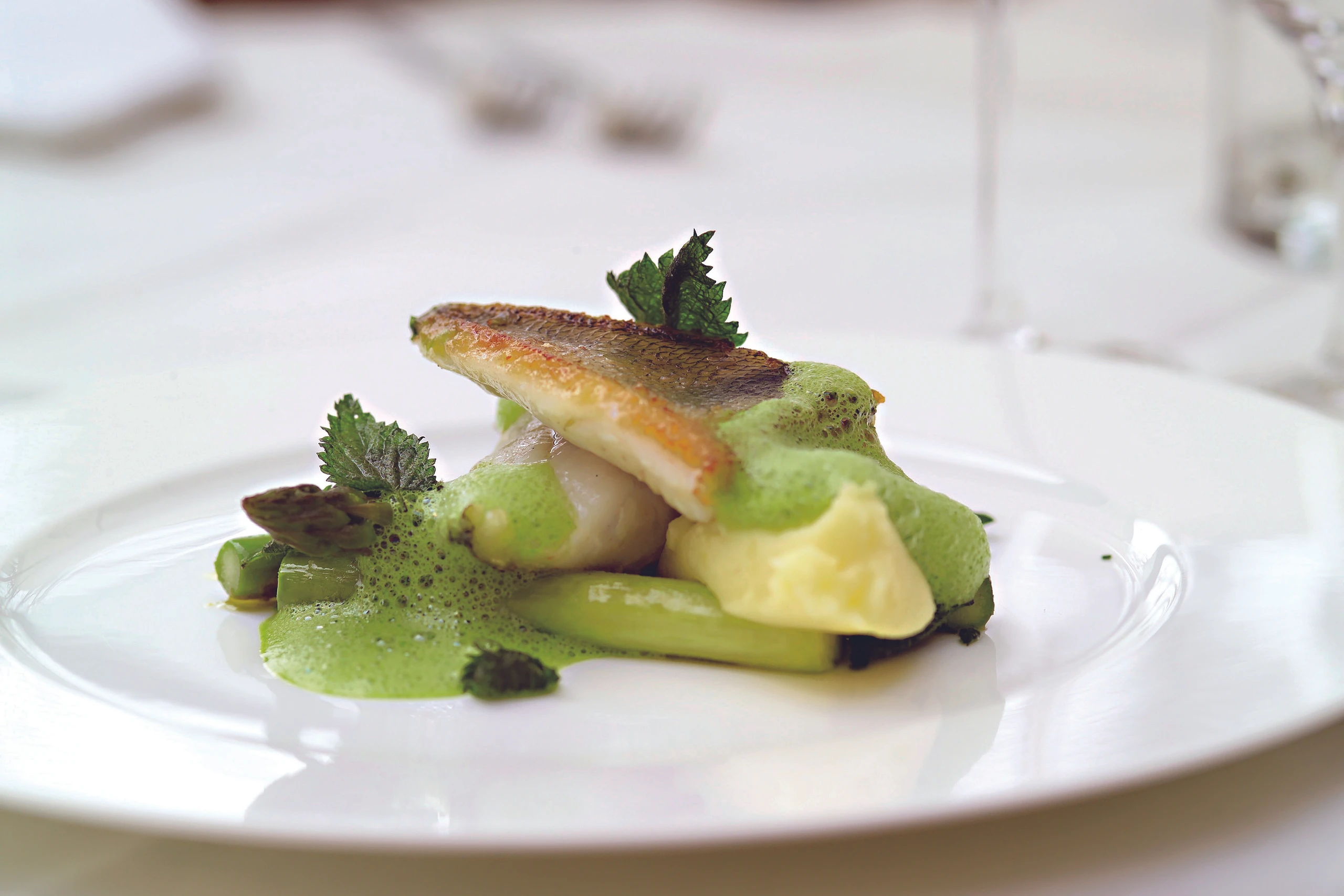 Zander mit grünem Spargel und Brennnesselbutter