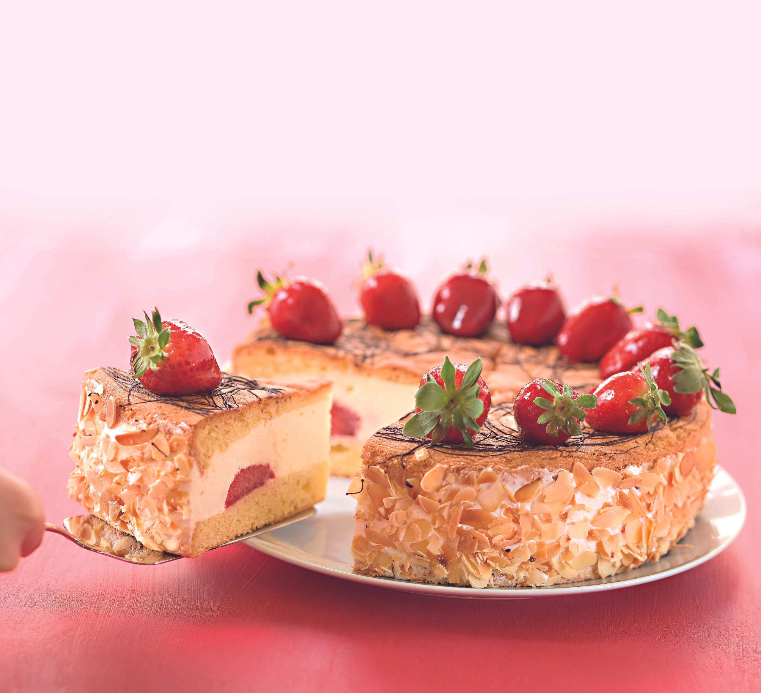 Erdbeer-Joghurt-Torte