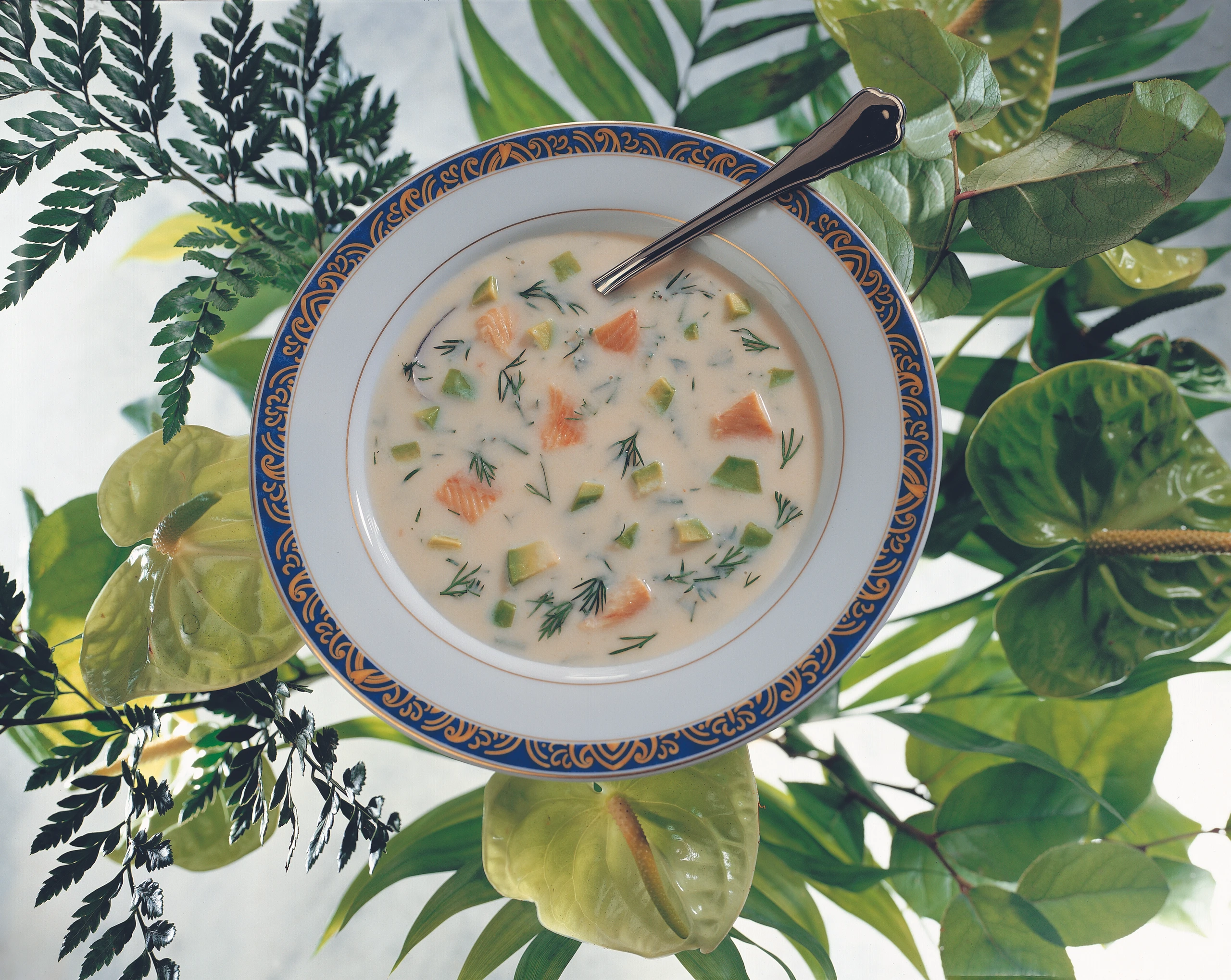 Kalte Räucherfischsuppe mit Avocado