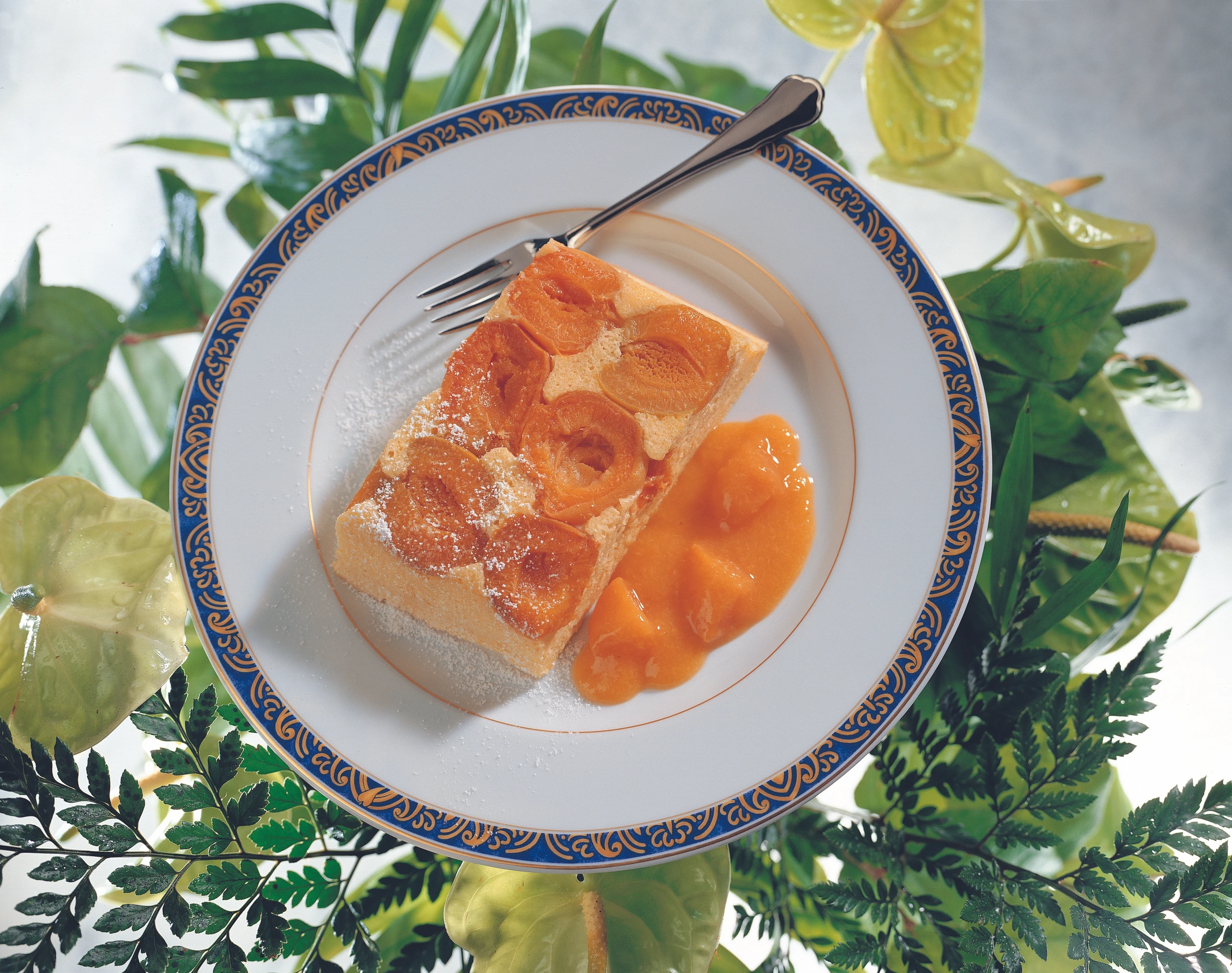 Topfen-Marillen-Auflauf