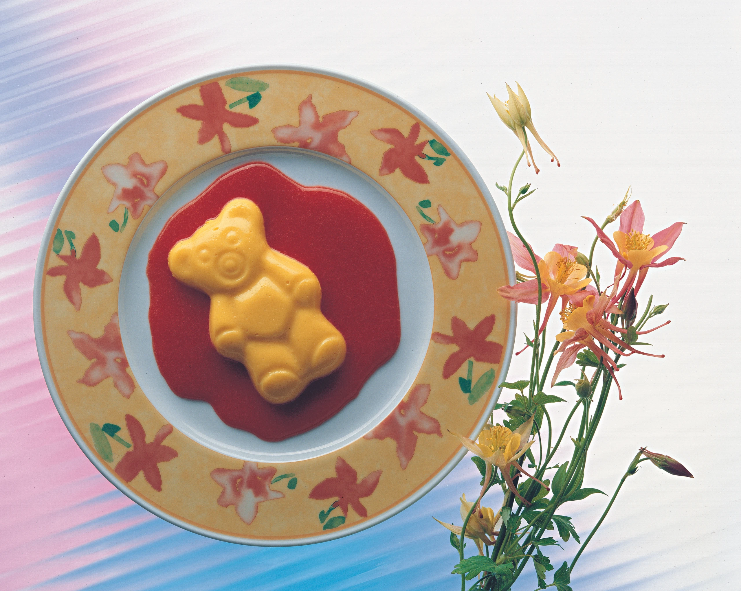 Vanillepudding mit Himbeersauce