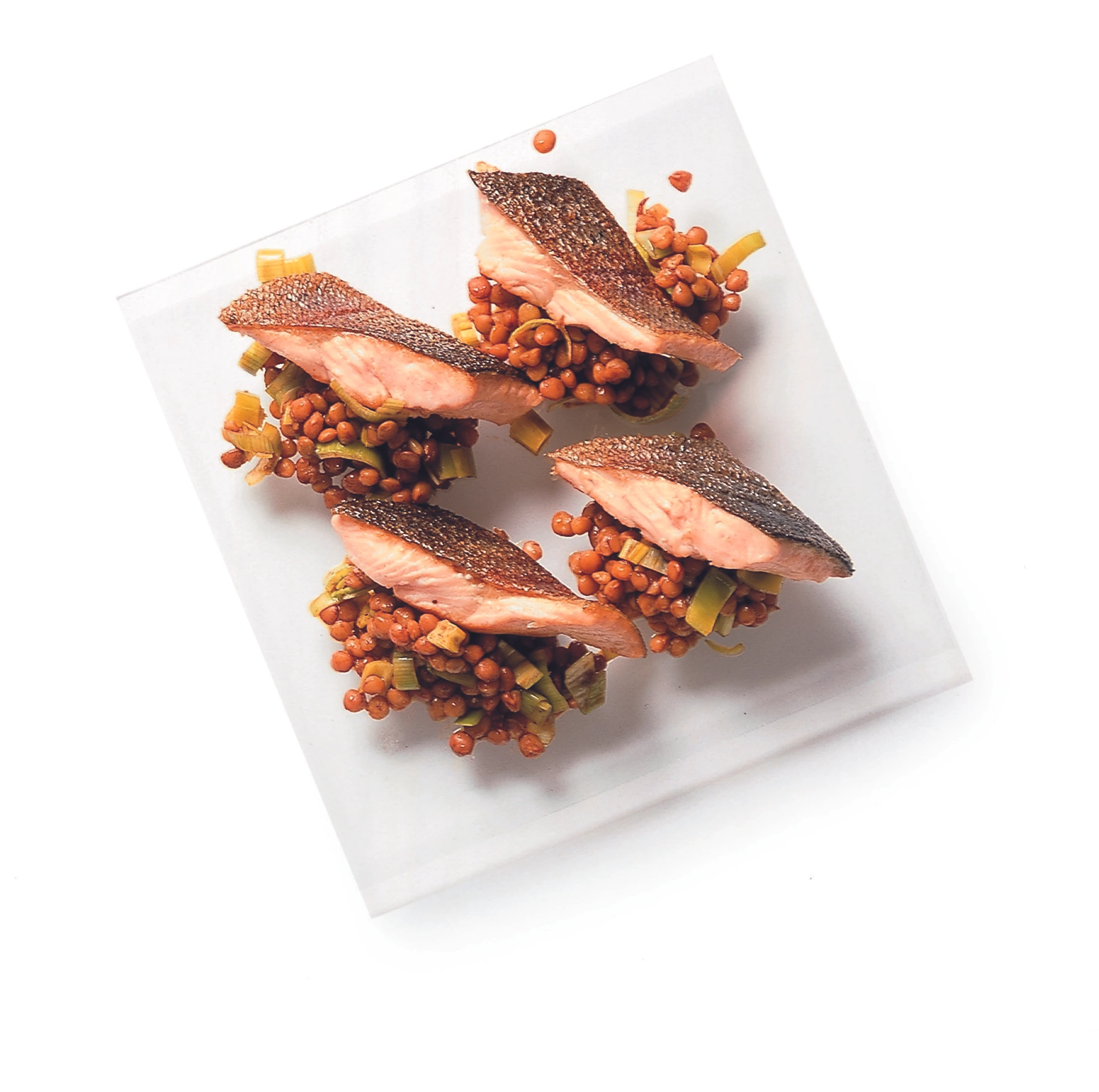 Lachsforelle auf Linsensalat