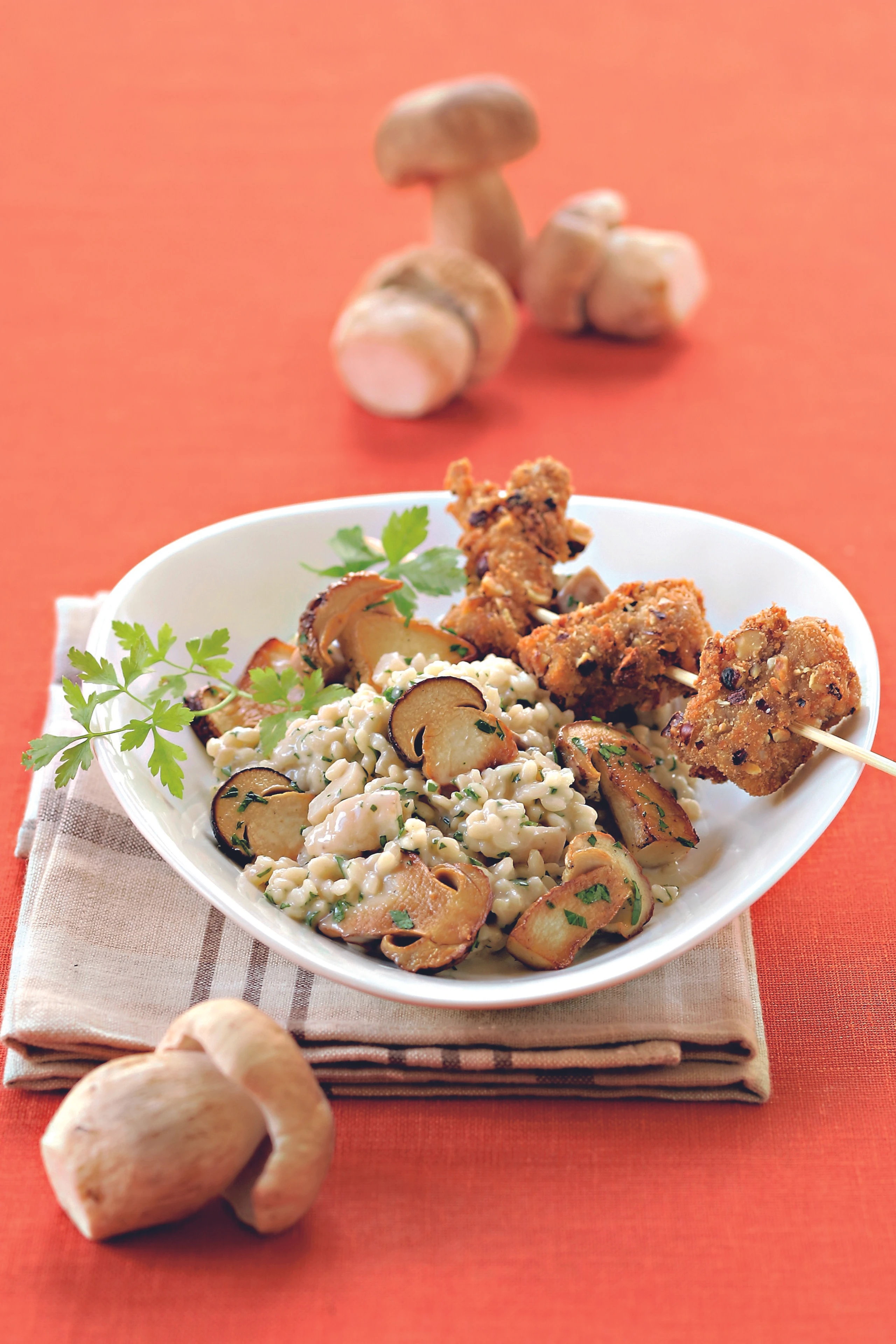 Klassisches Steinpilzrisotto