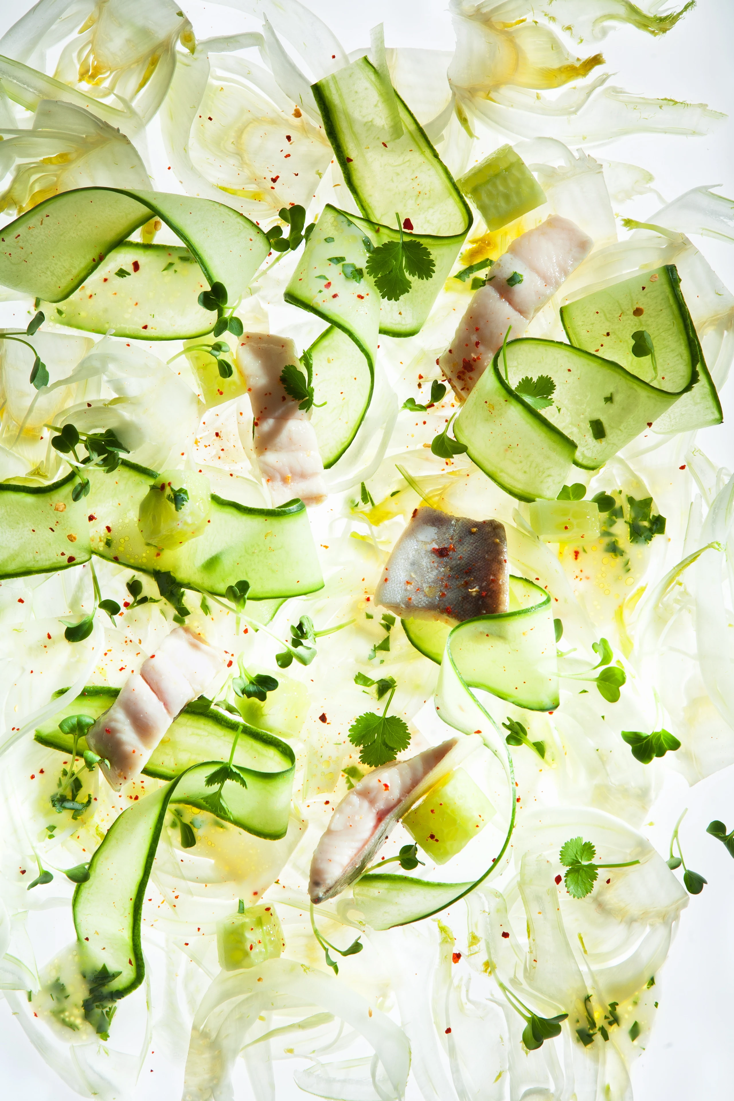 Gemüsesalat mit Saibling und Koriandermarinade