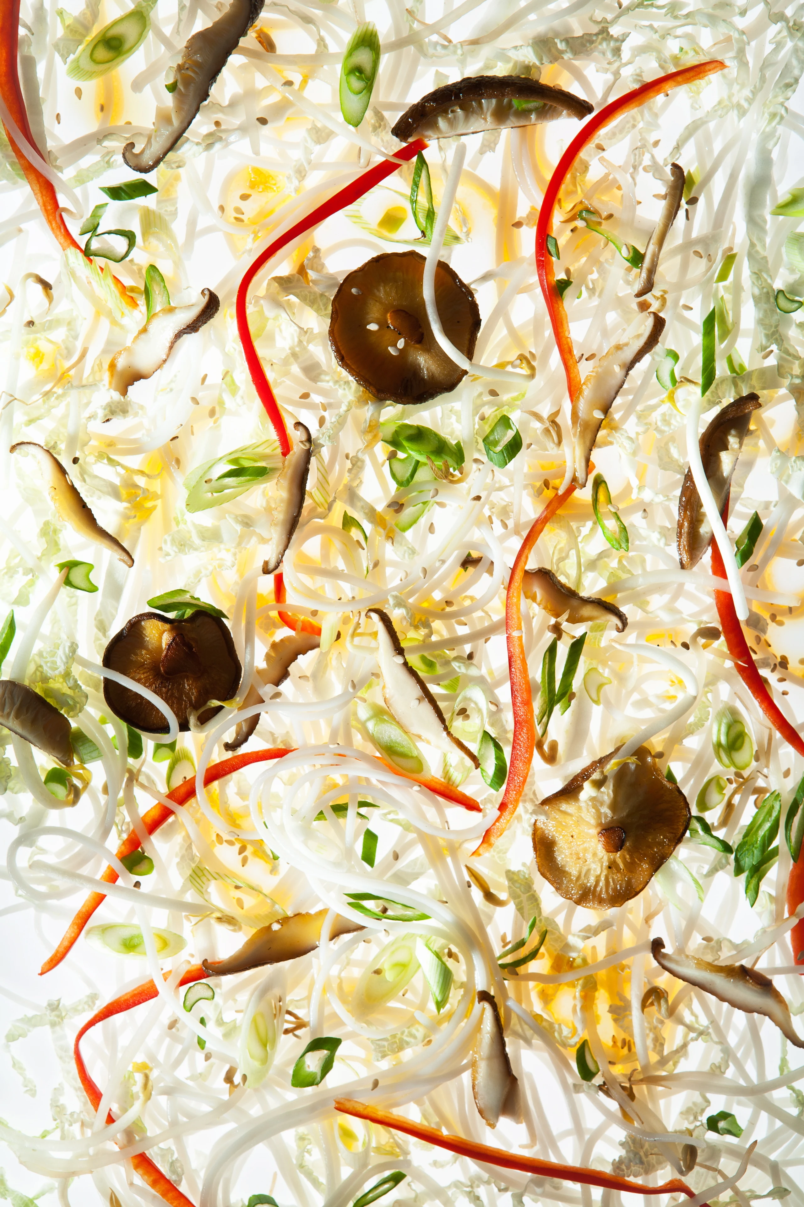 Asiasalat mit Sprossen und Shiitake