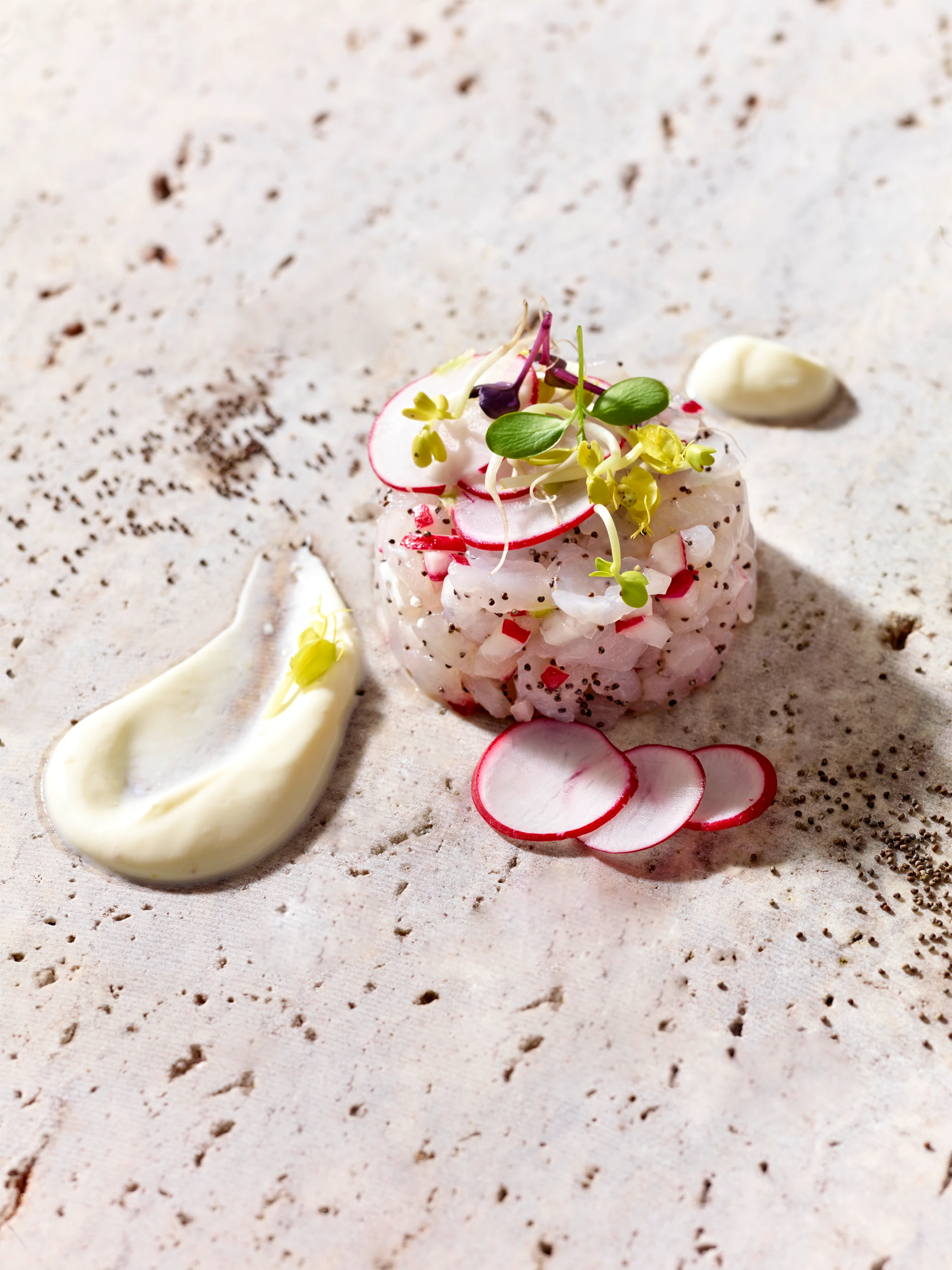 Saiblingstatar mit Mohn und Radieschen