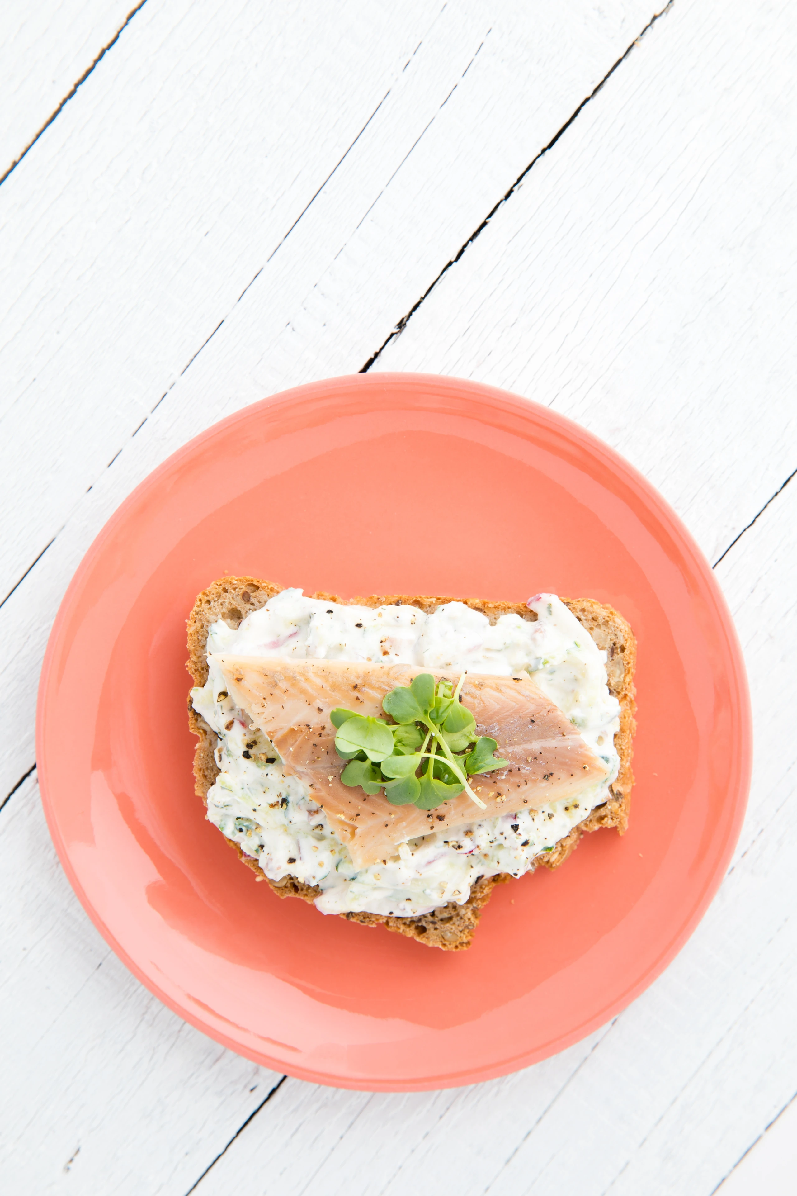 Zucchini-Radieschenaufstrich mit Räucherfisch und Kresse