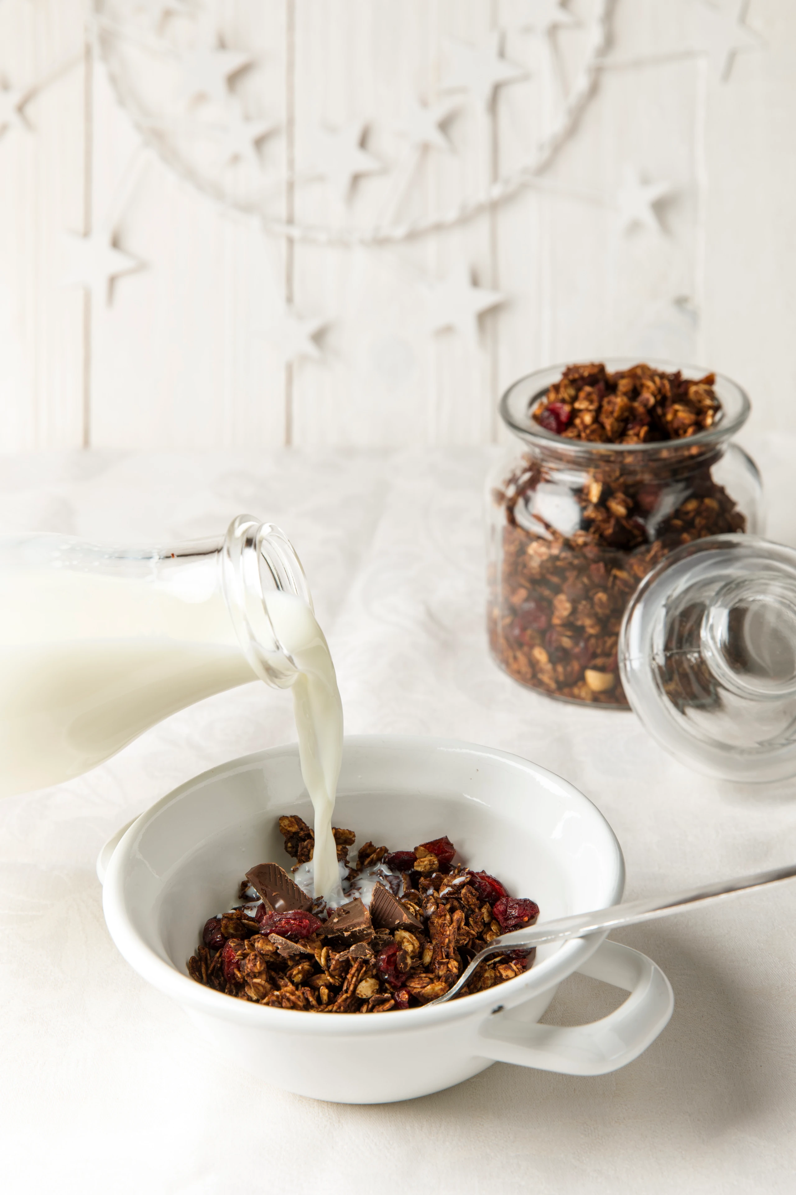 Schokolade-Kokos-Granola mit Cranberrys