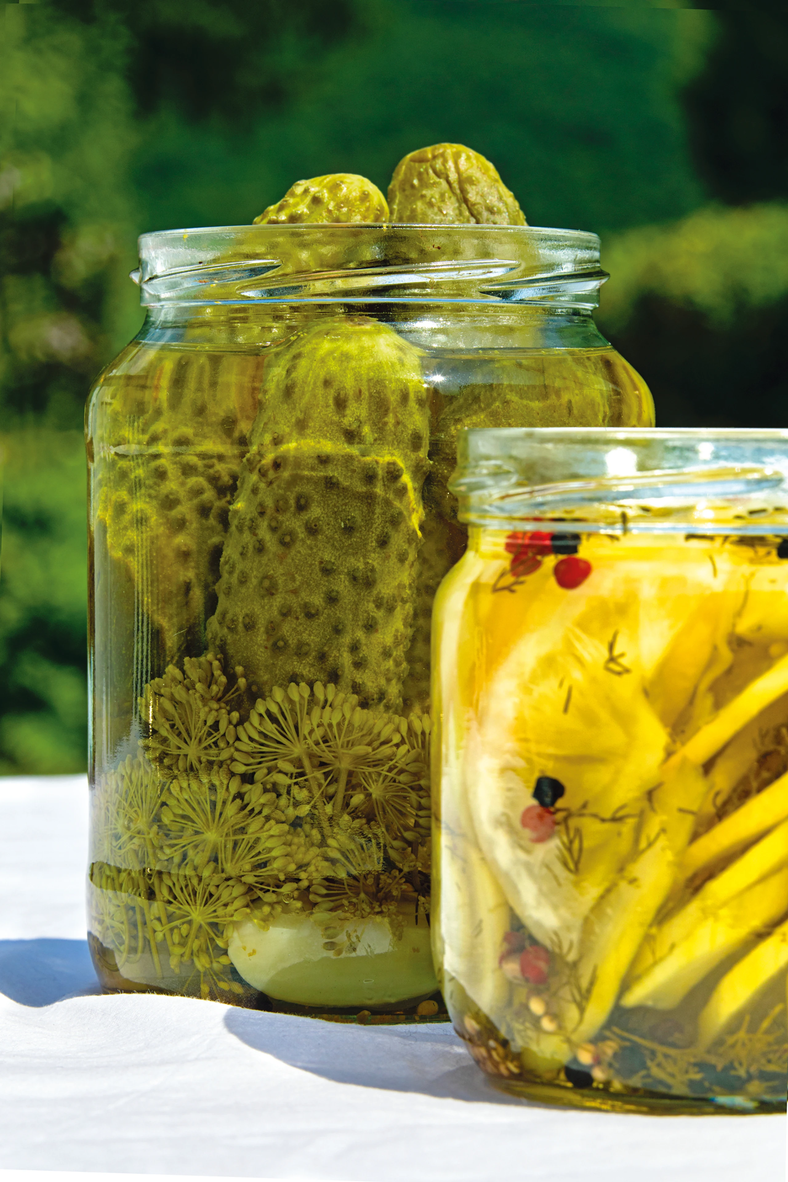 Essiggurken und Zitronengurken