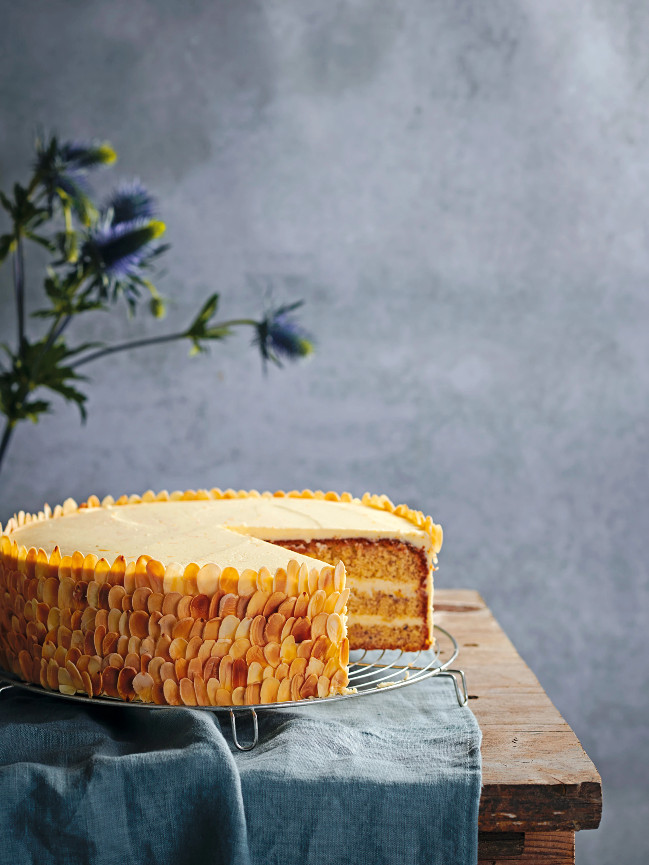 Orangen-Mandel-Torte mit Ricottacreme