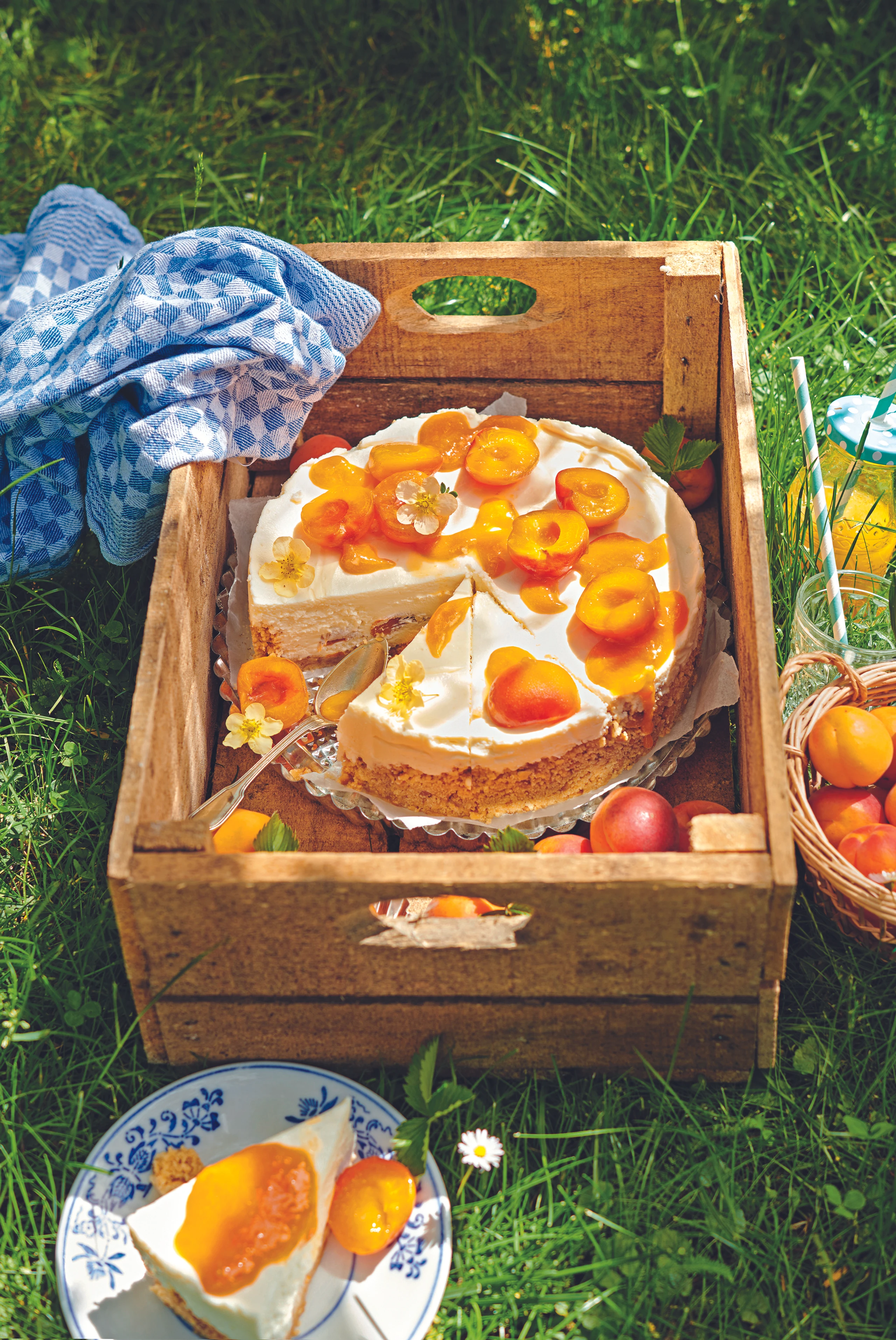 Marillen-Topfenkuchen mit weißer Schokolade