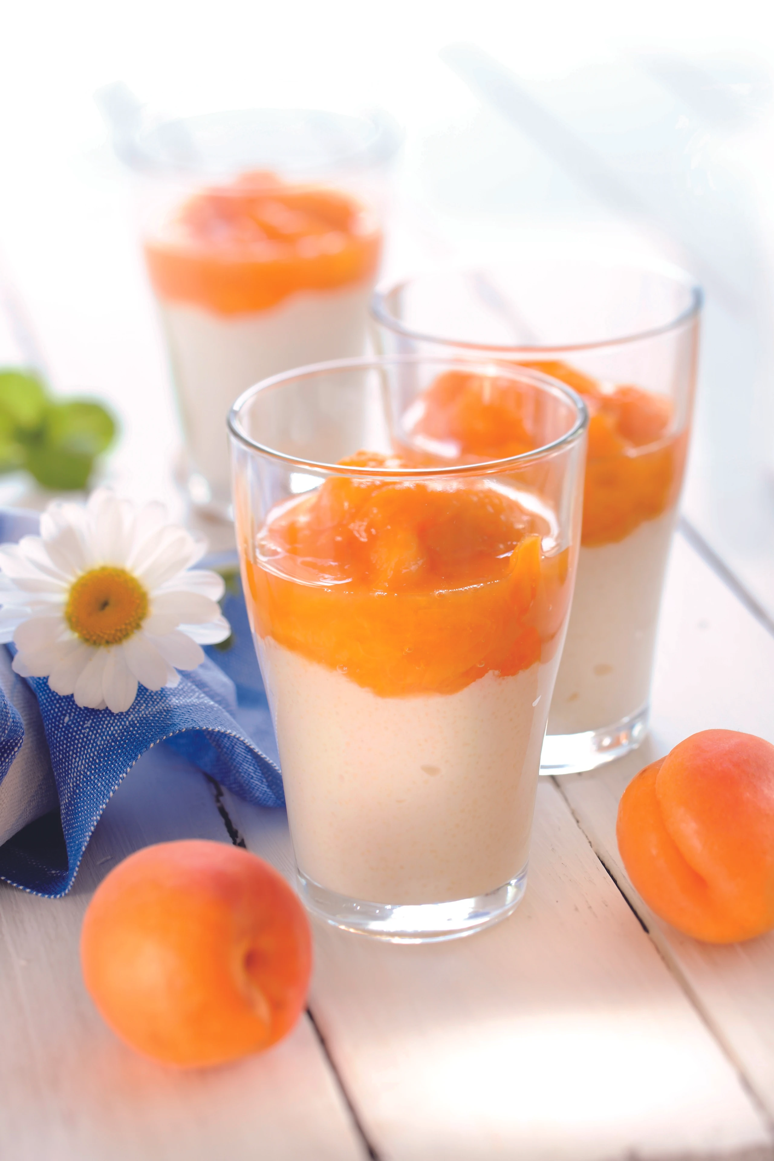 Joghurt Grieß Dessert mit Marillen-Röster