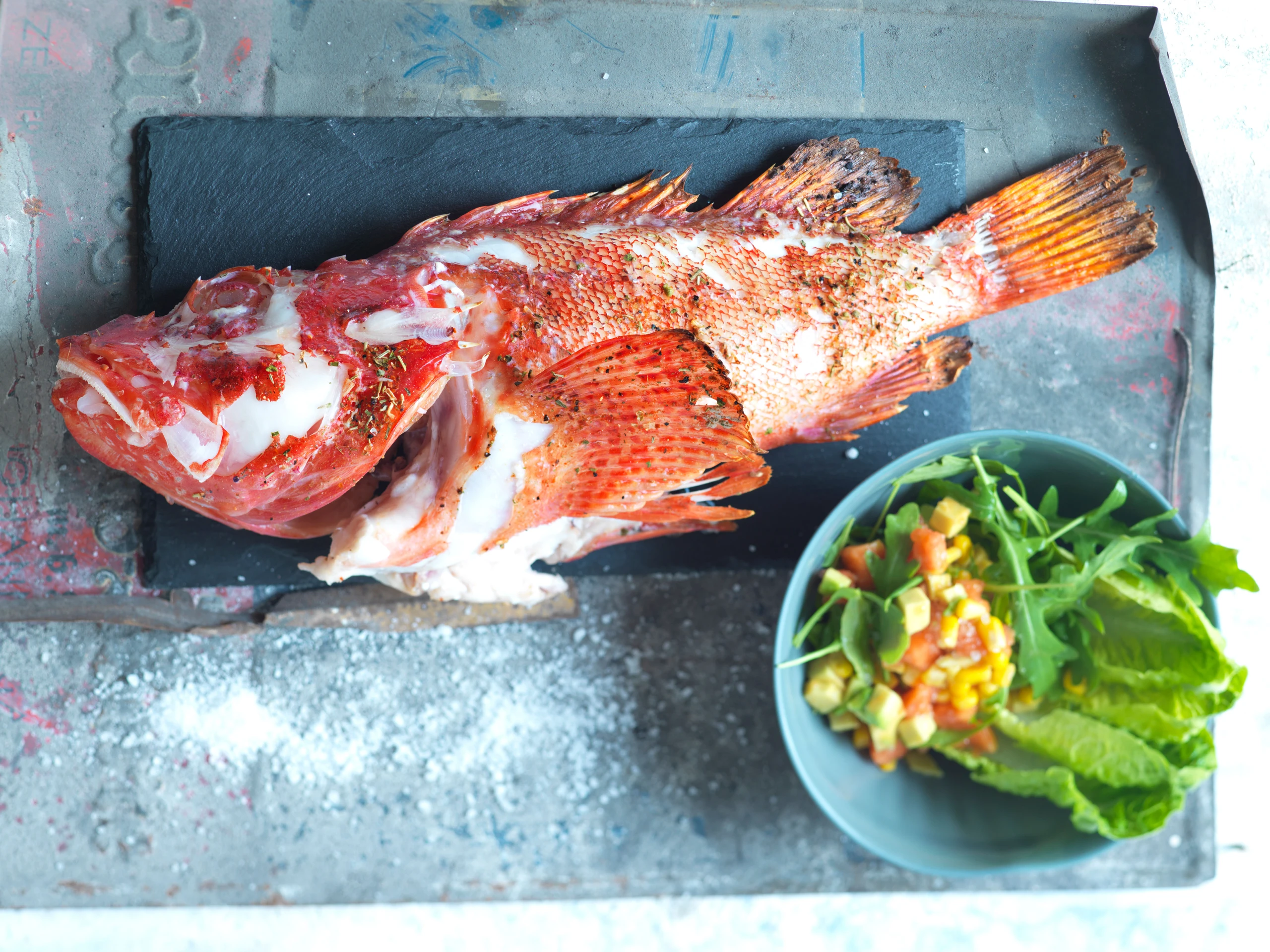 Gegrillter Drachenkopf mit Bondi-Beach-Salat