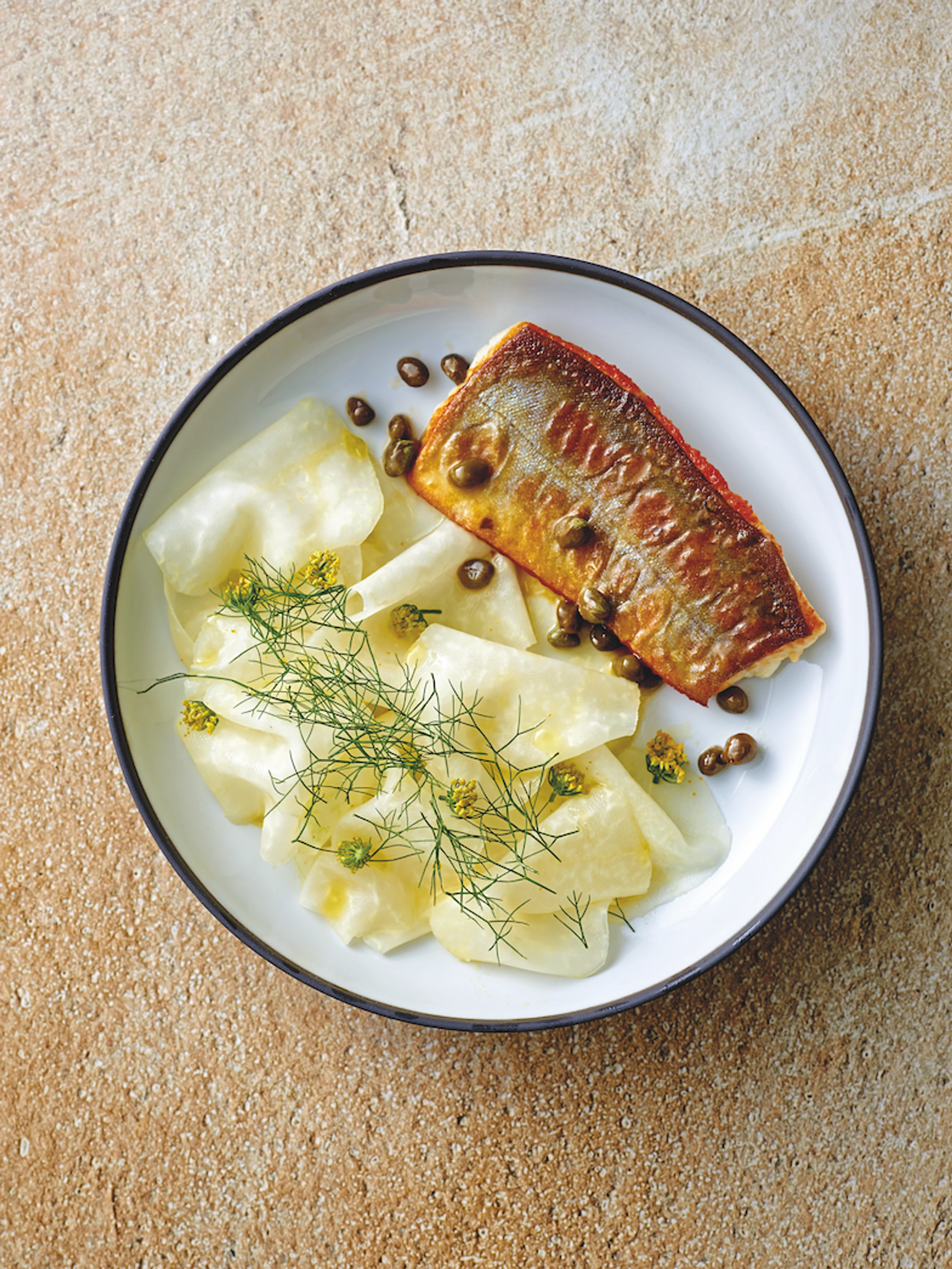 Zitroniger Bachsaibling mit Kohlrabisalat