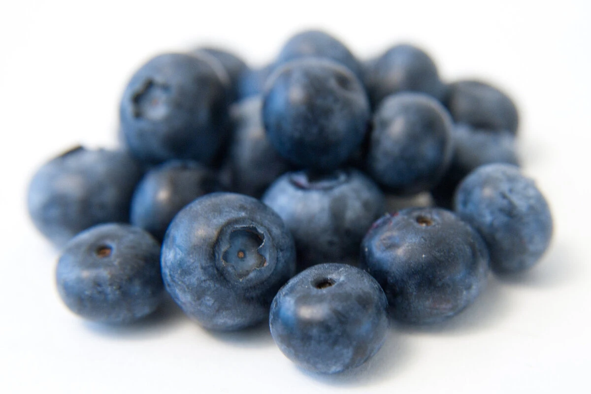 Der Farbstoff Myrtillin macht Heidelbeeren blau - und ist sehr gesund