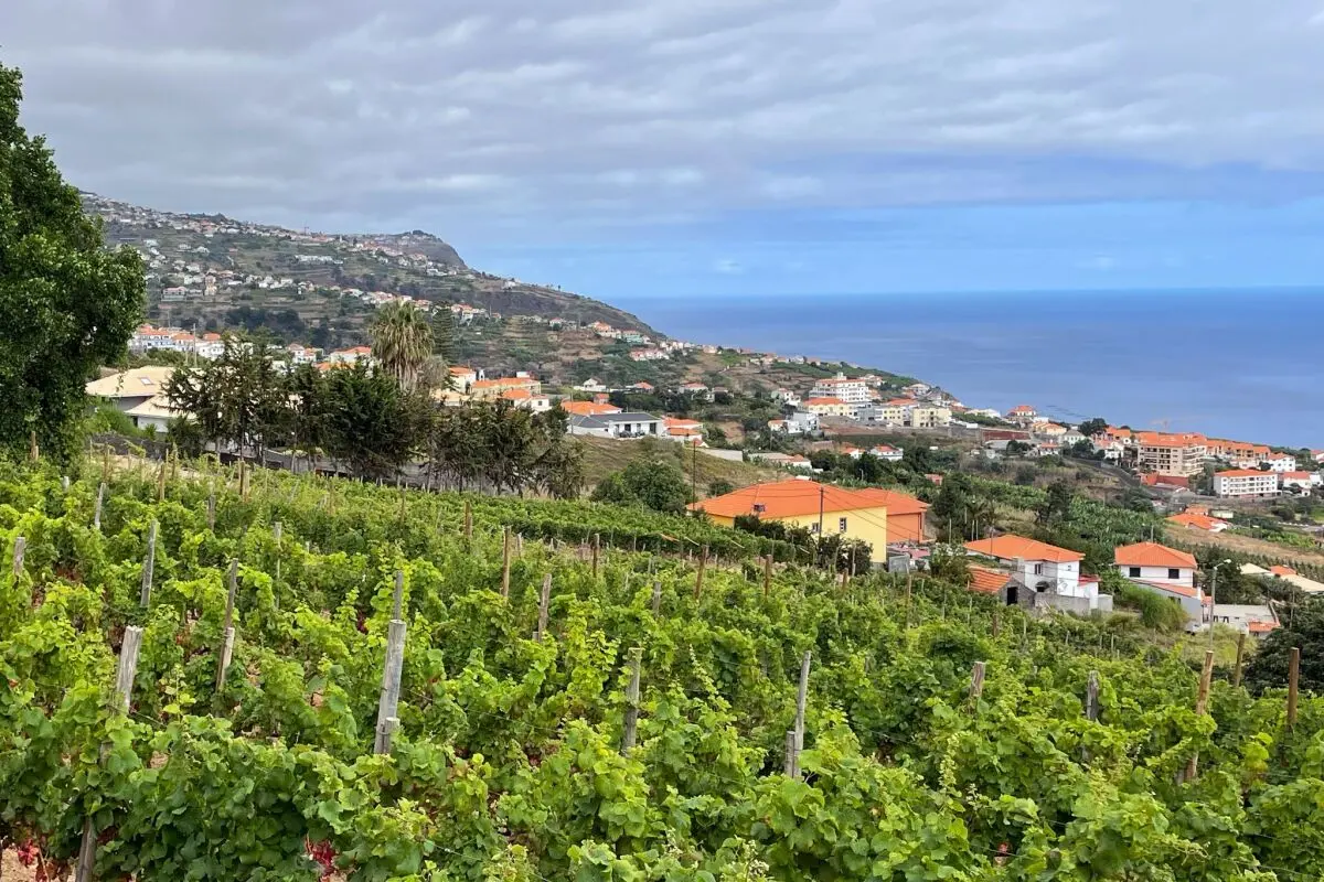 Die Quinta das Vinhas liegt im Südwesten der Insel