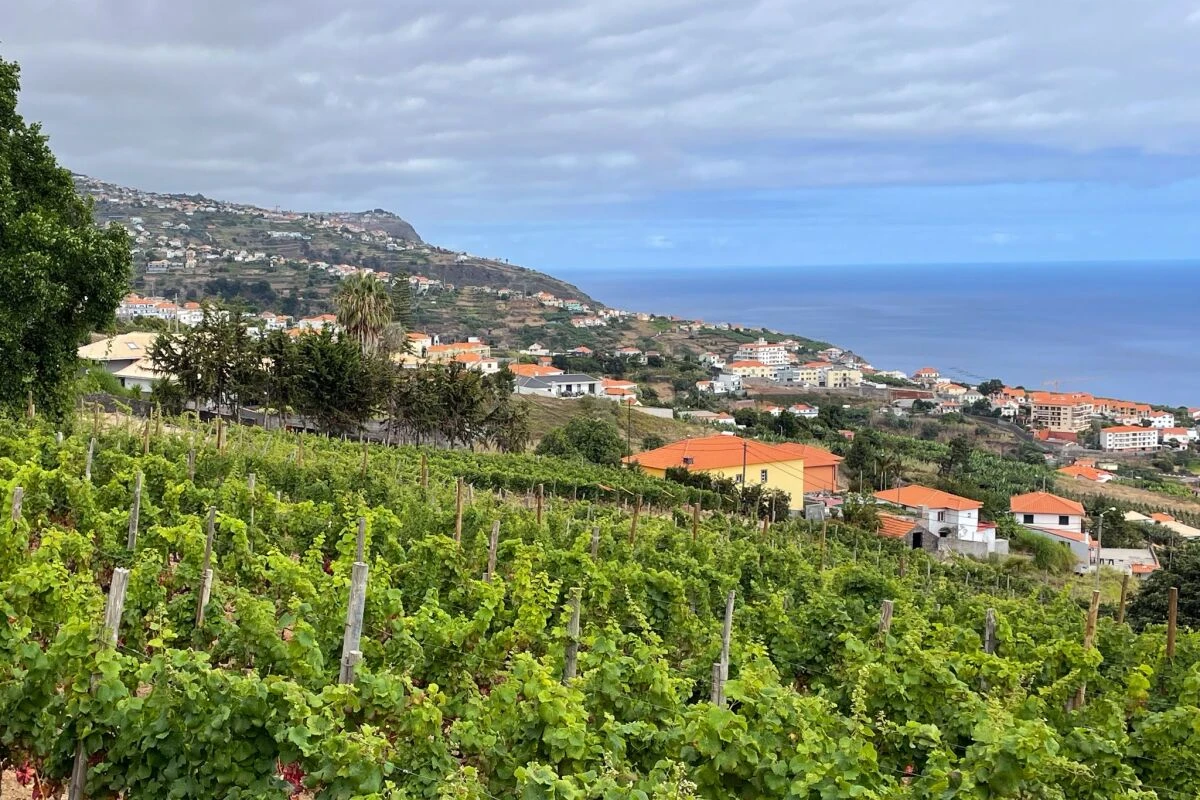 Die Quinta das Vinhas liegt im Südwesten der Insel