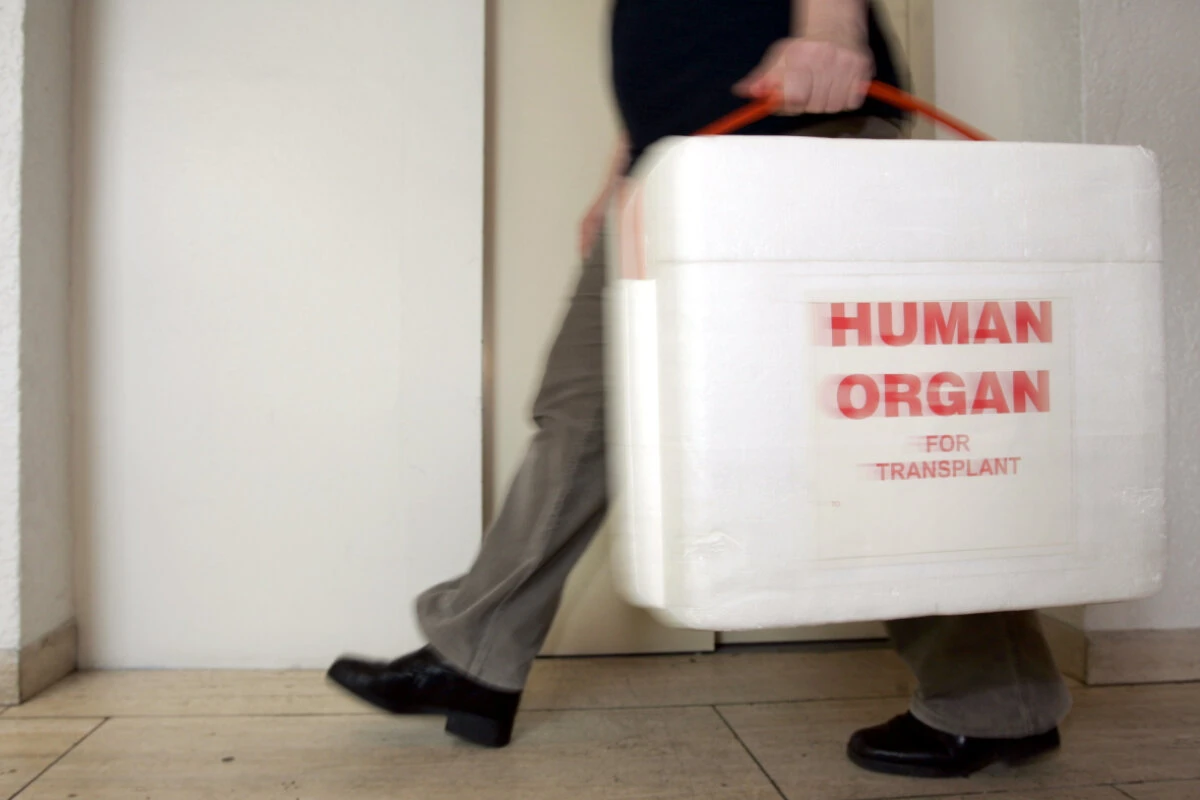 In Österreich wurden im vergangenen Jahr 59 Herzen transplantiert