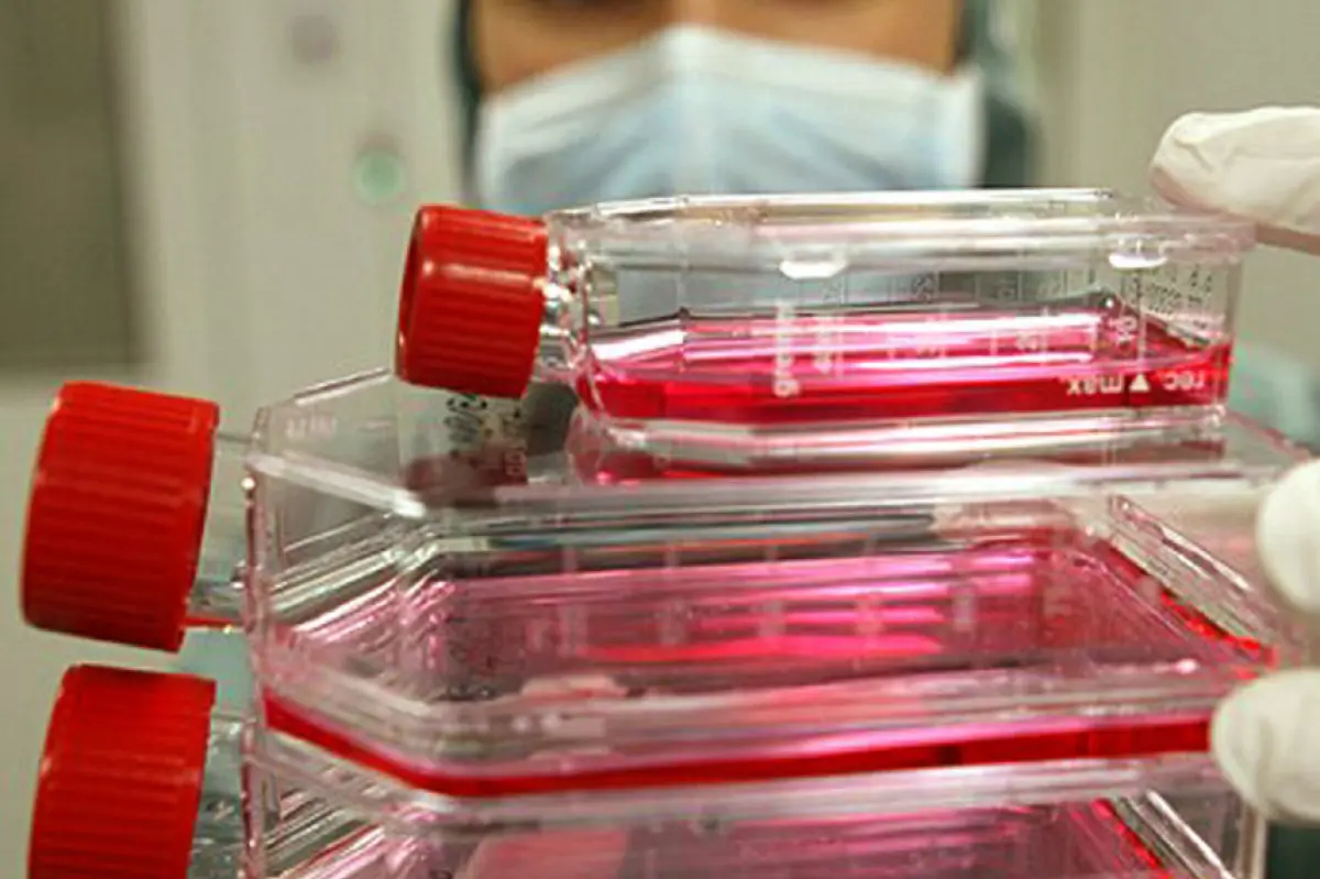Operatives Ergebnis des Dialysekonzerns steigt im Quartal um 9 Prozent