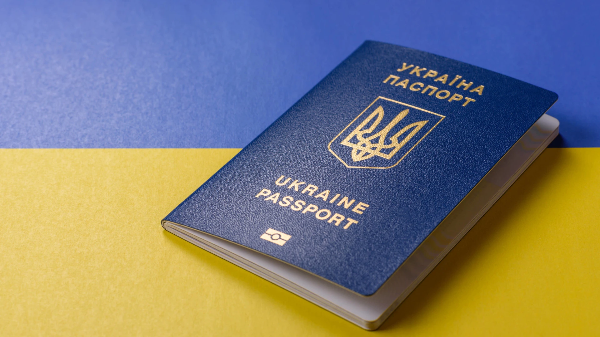 Ukrainische Flüchtlinge bevorzugen Jobs statt Sozialhilfe