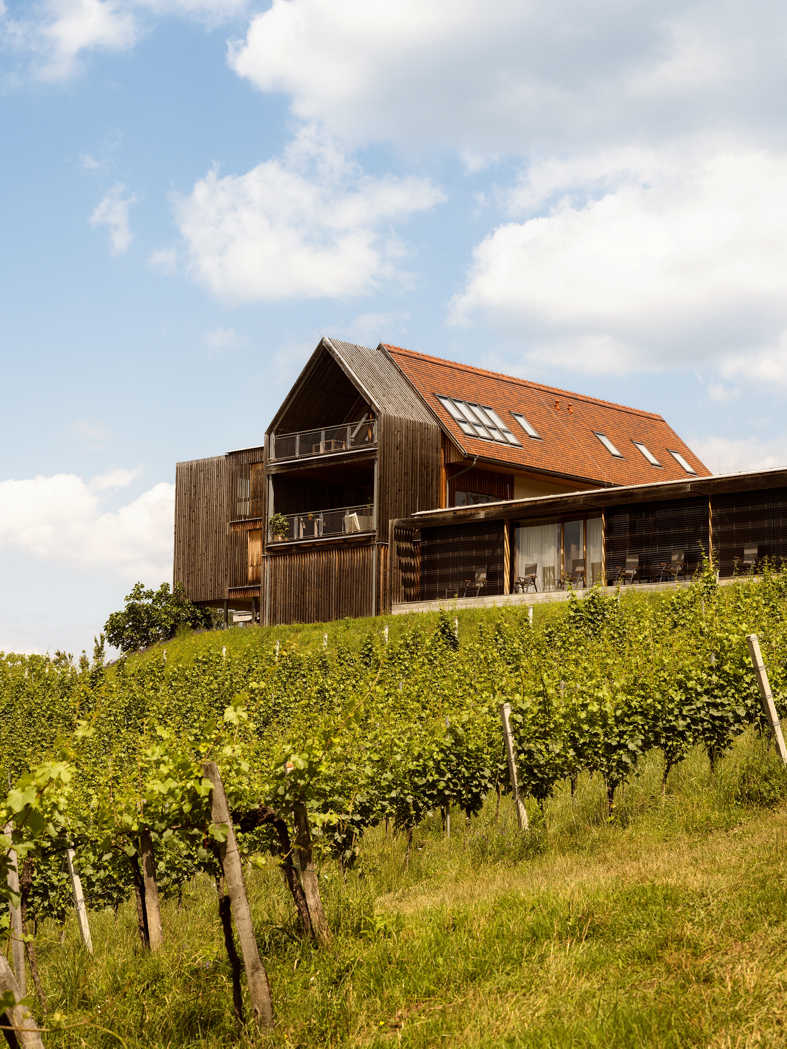 Blurred image background