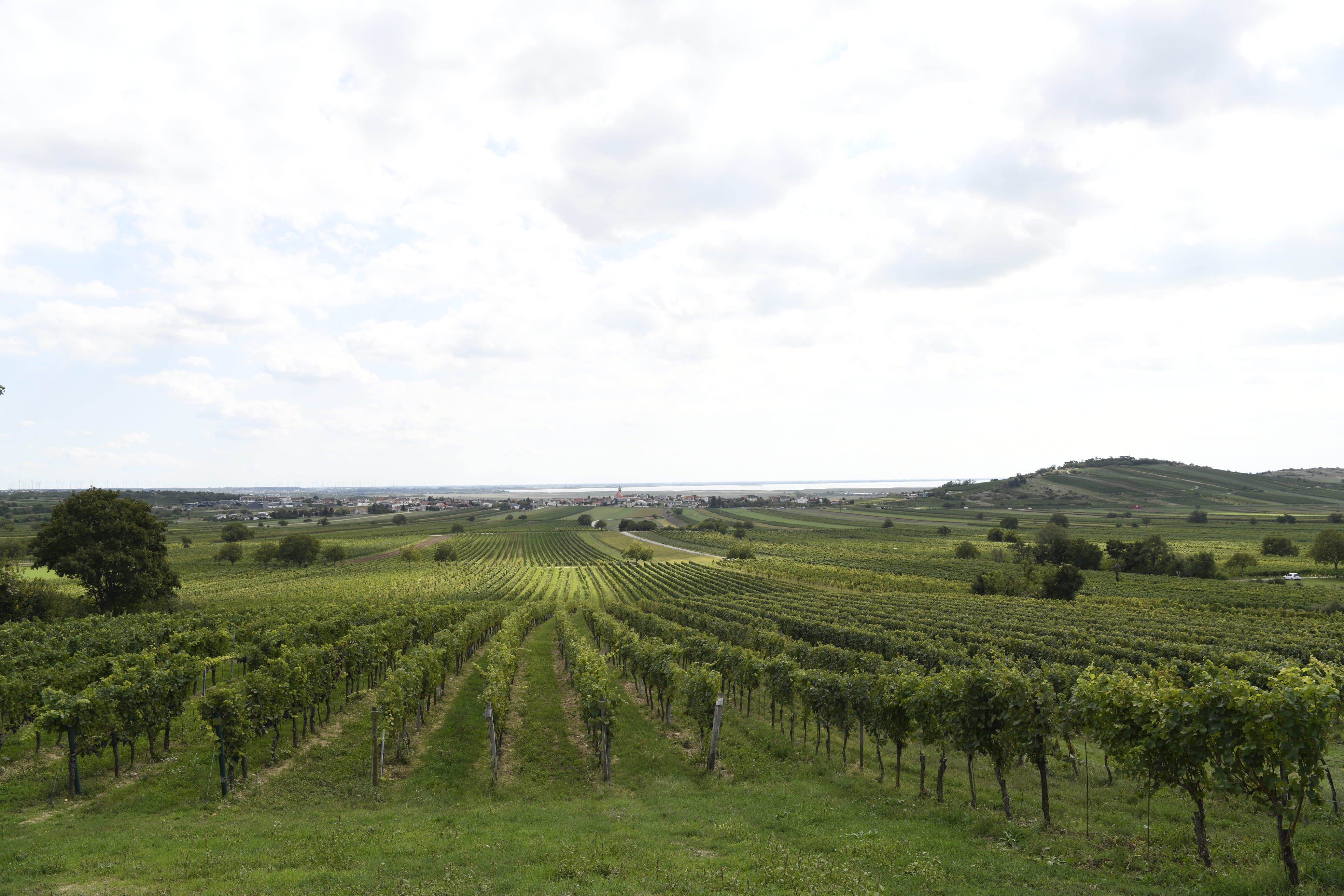 Blurred image background