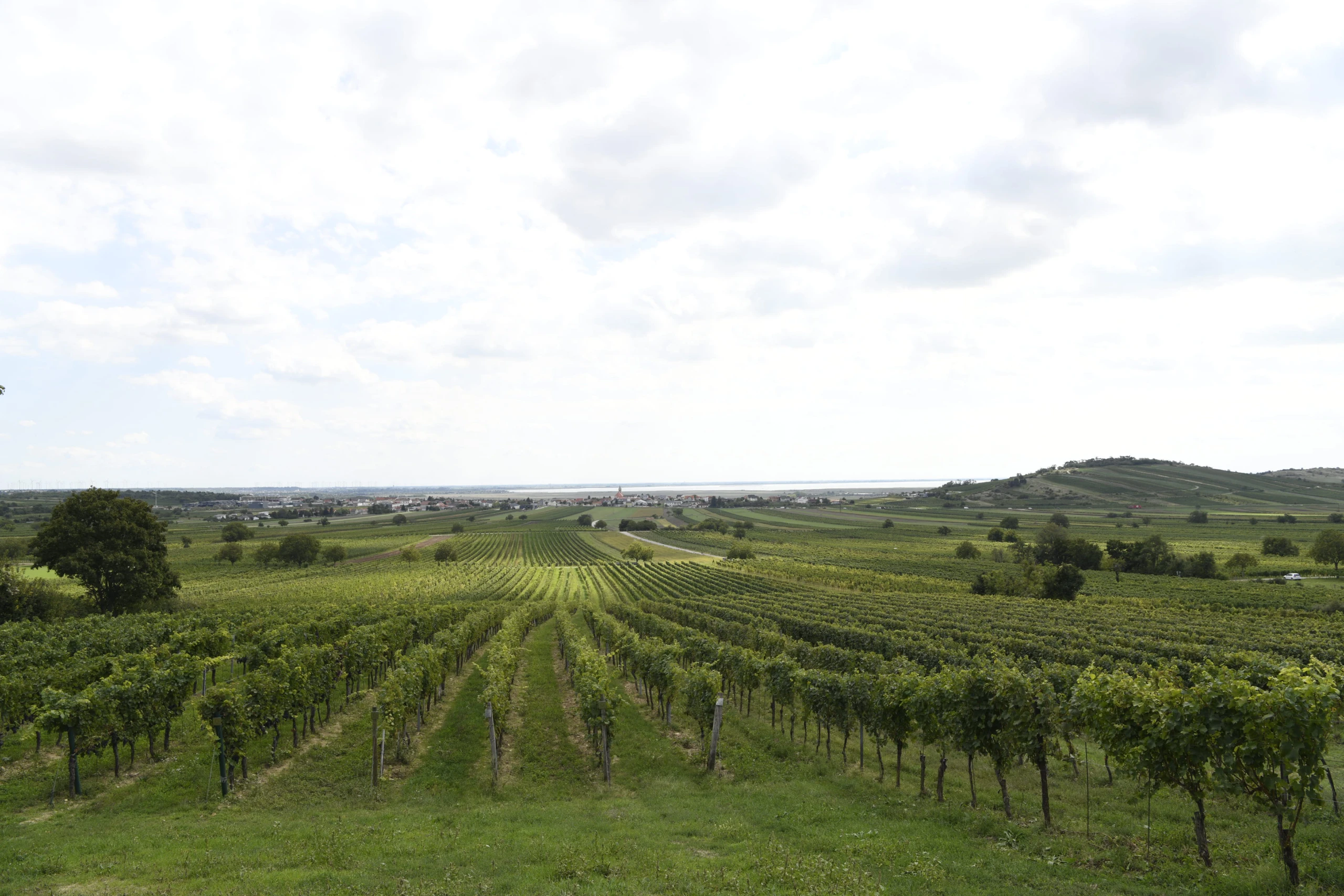 © Beigestellt Blurred image background