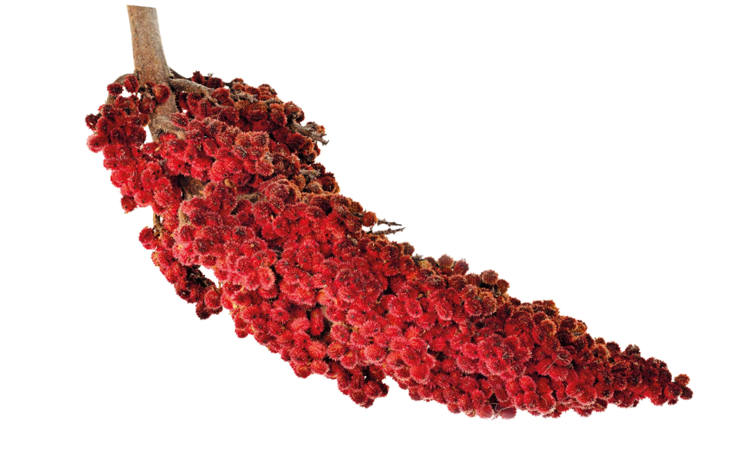 © iStock Blurred image background